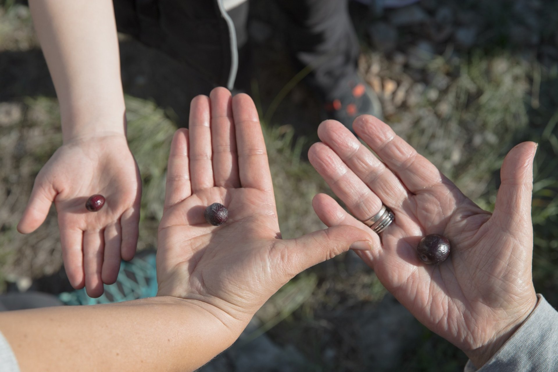 an abstract photo of a curved building with a blue sky in the background