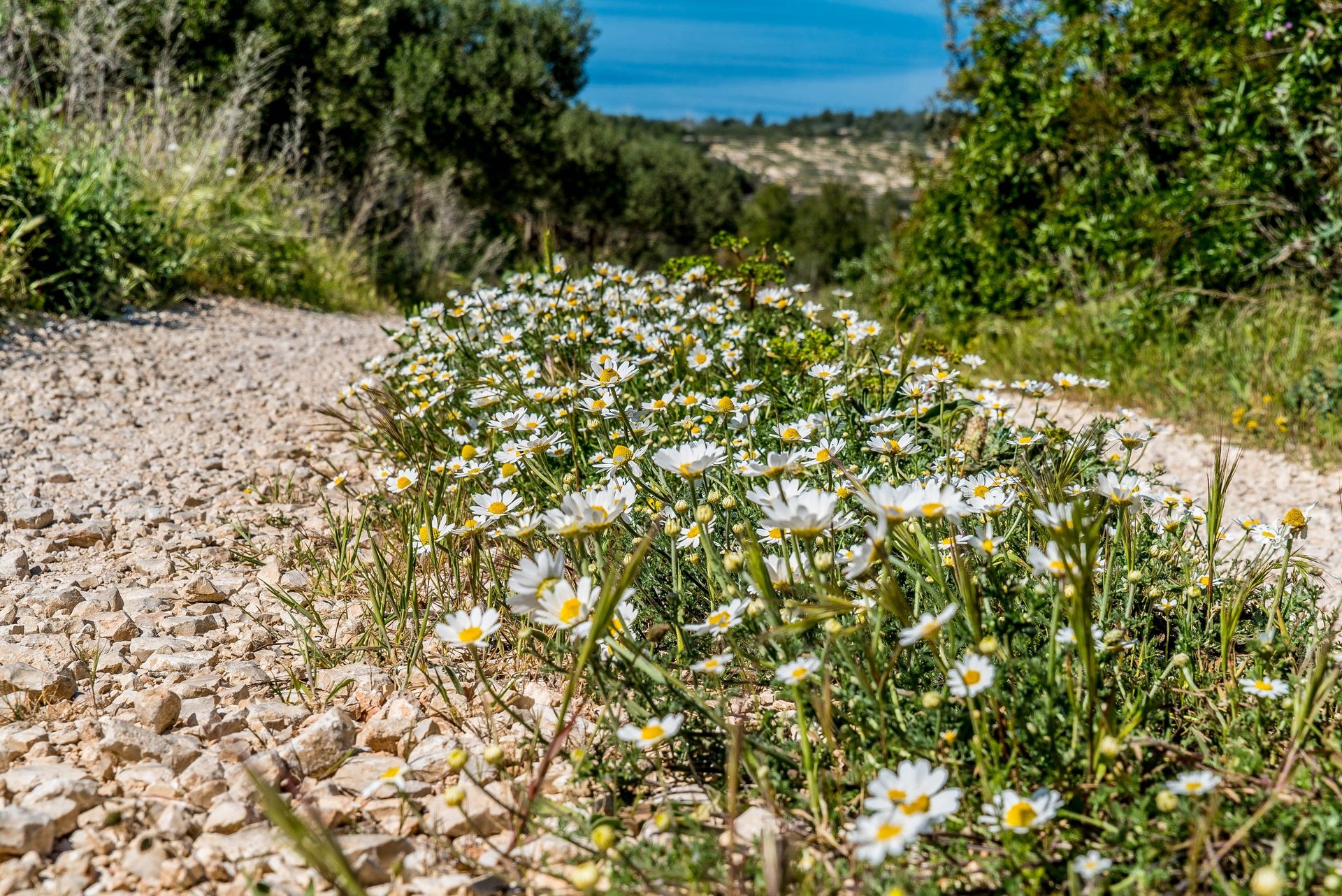 an abstract photo of a curved building with a blue sky in the background
