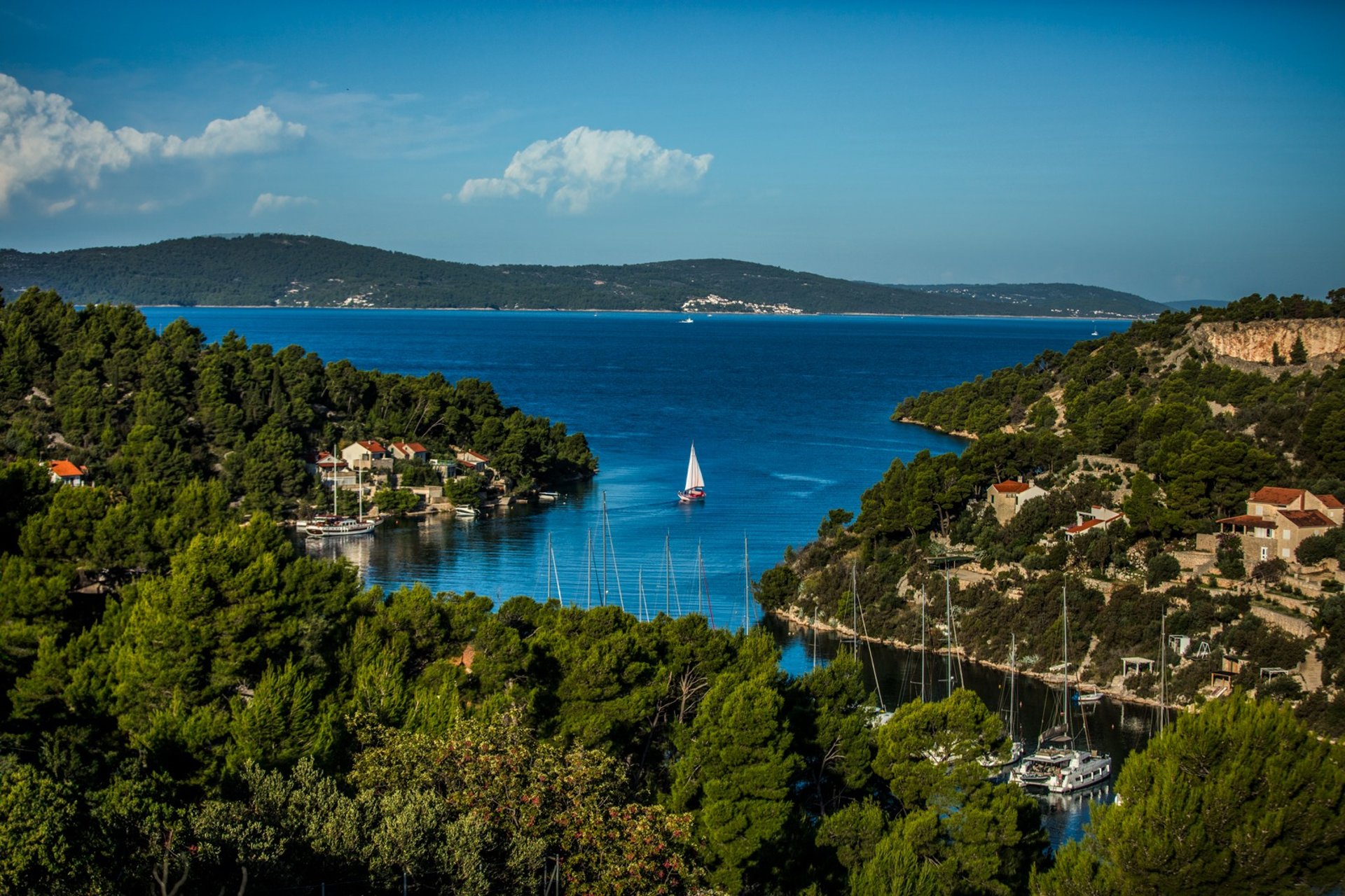 black and white bed linen