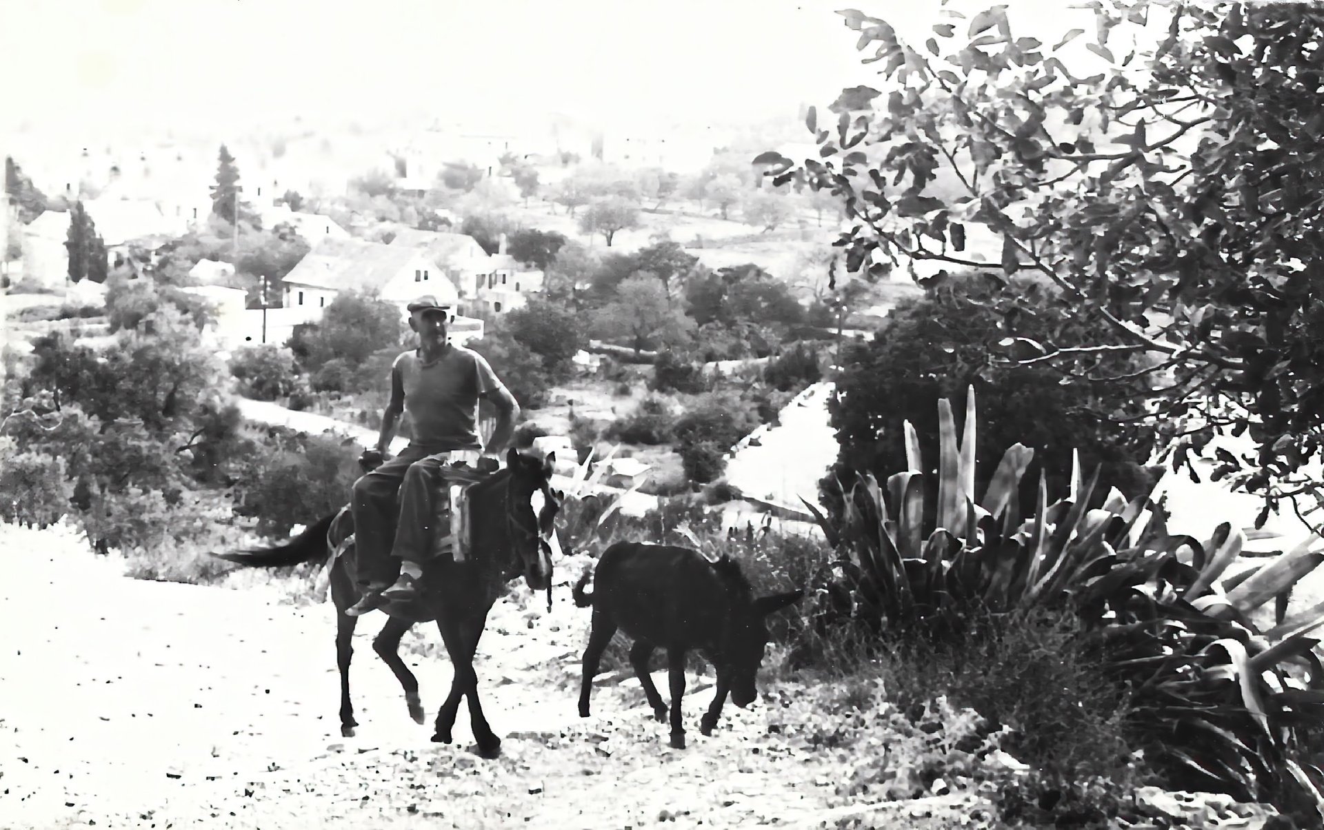 an abstract photo of a curved building with a blue sky in the background