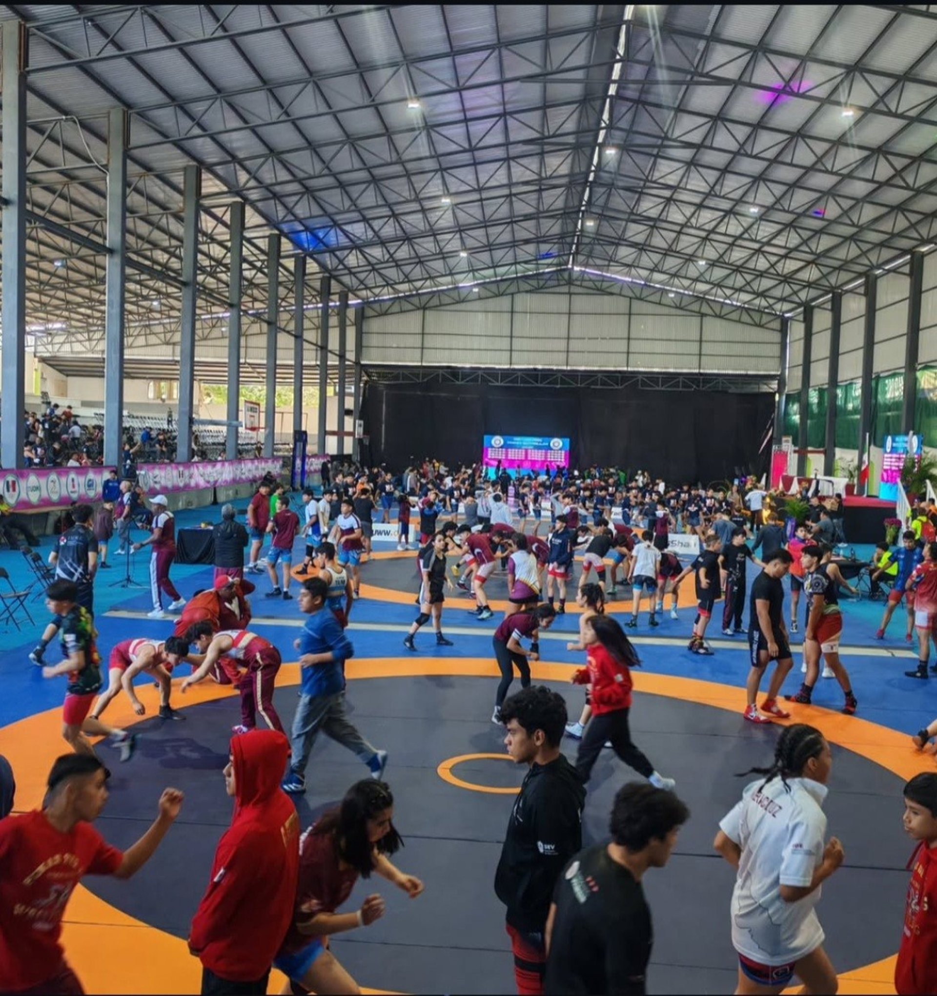 an abstract photo of a curved building with a blue sky in the background