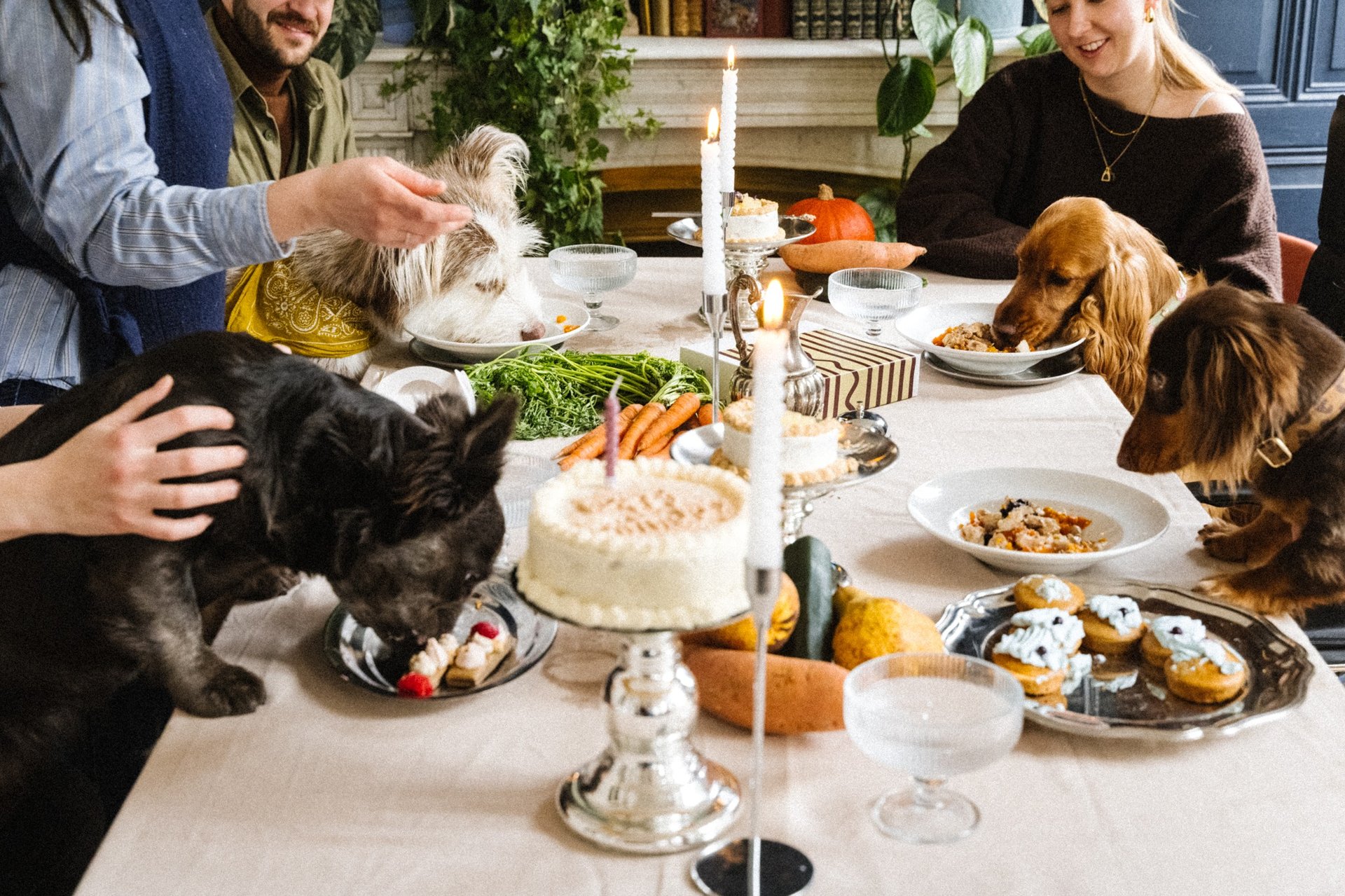 closeup photo of green Christmas tree