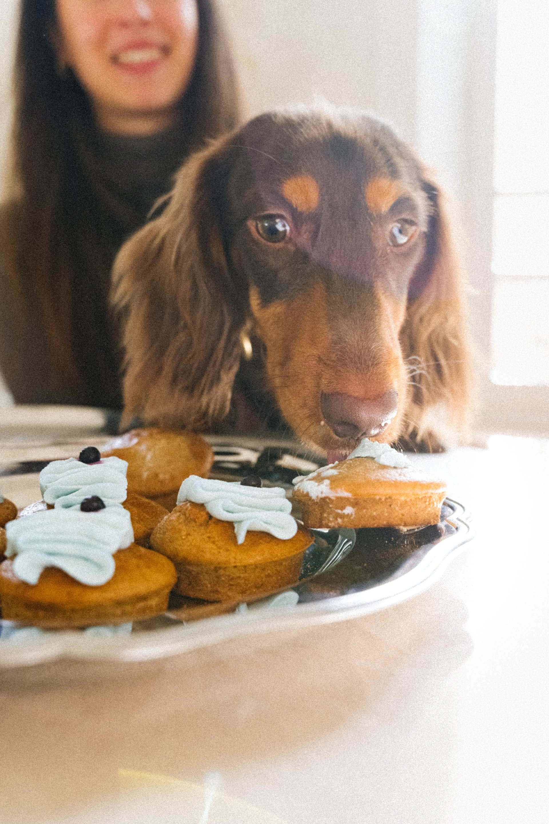 black blue and yellow textile