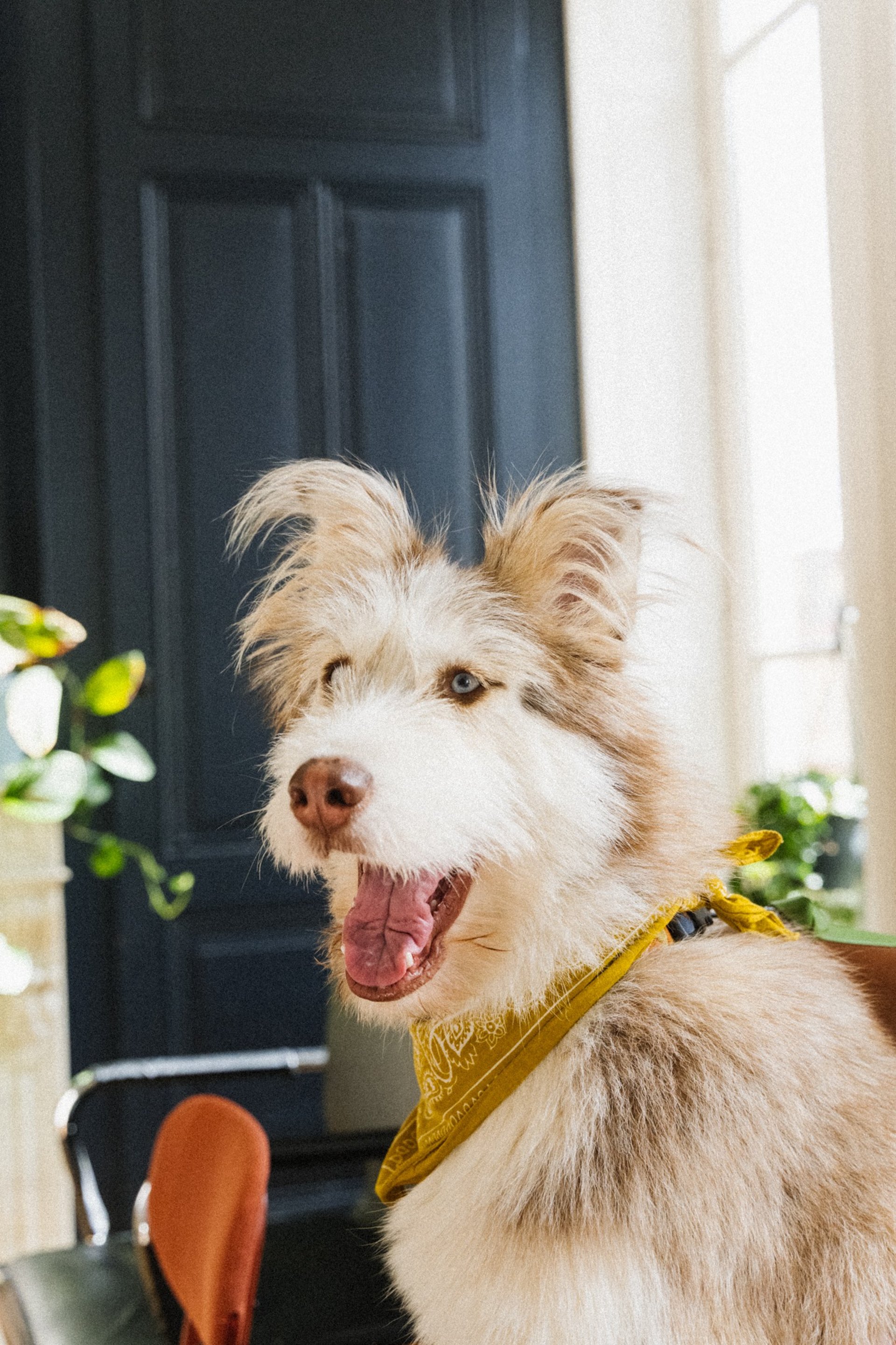 black blue and yellow textile