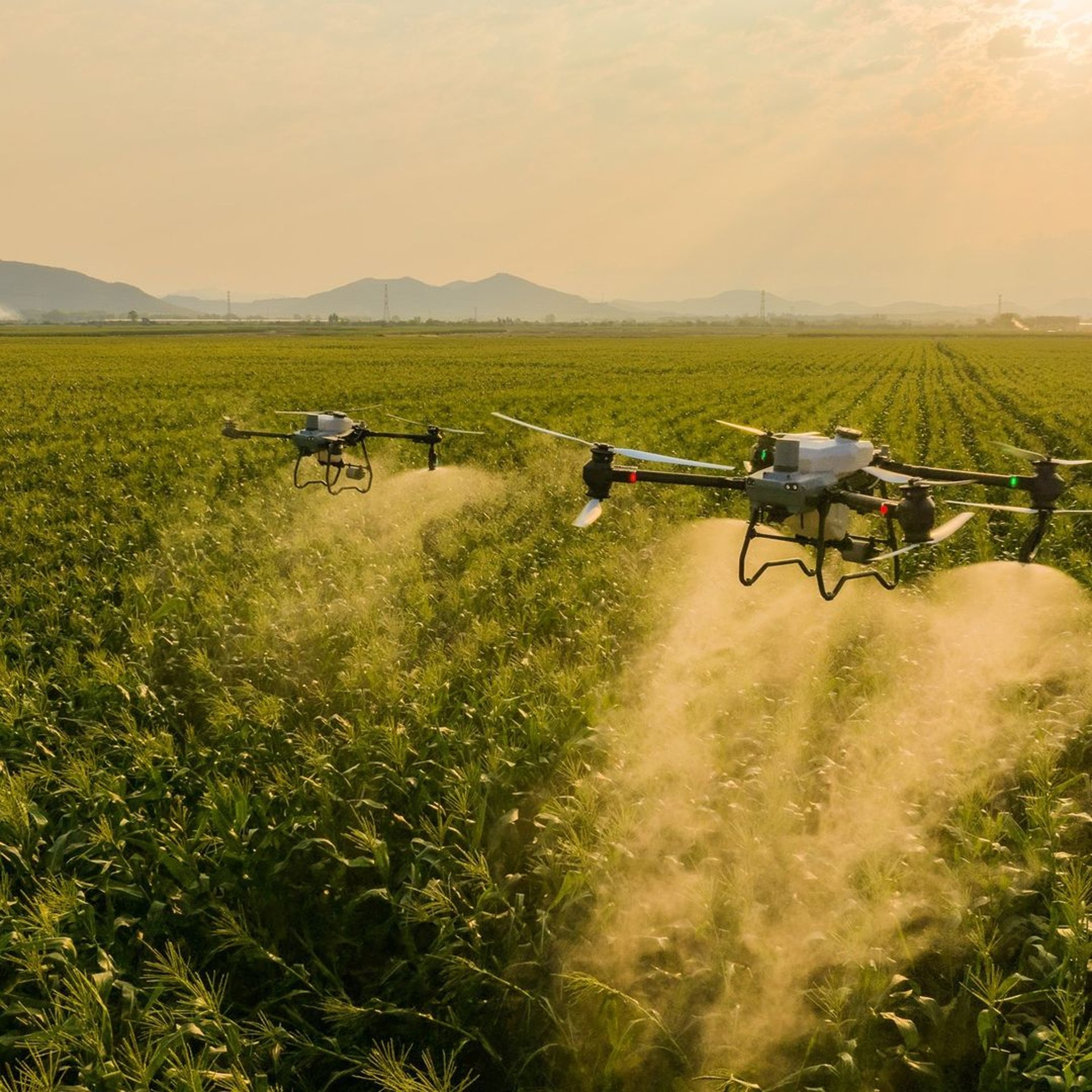 woman wearing yellow long-sleeved dress under white clouds and blue sky during daytime