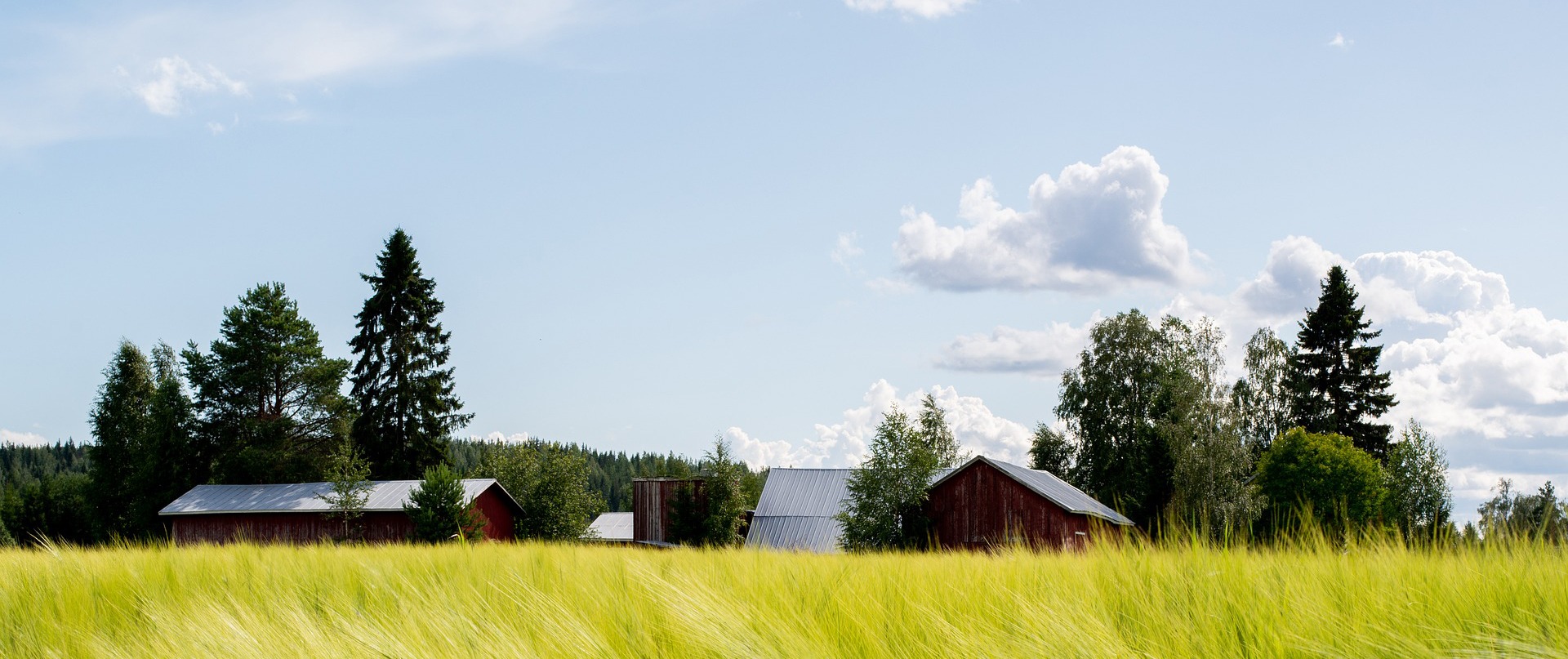 a close up of a black and brown abstract painting