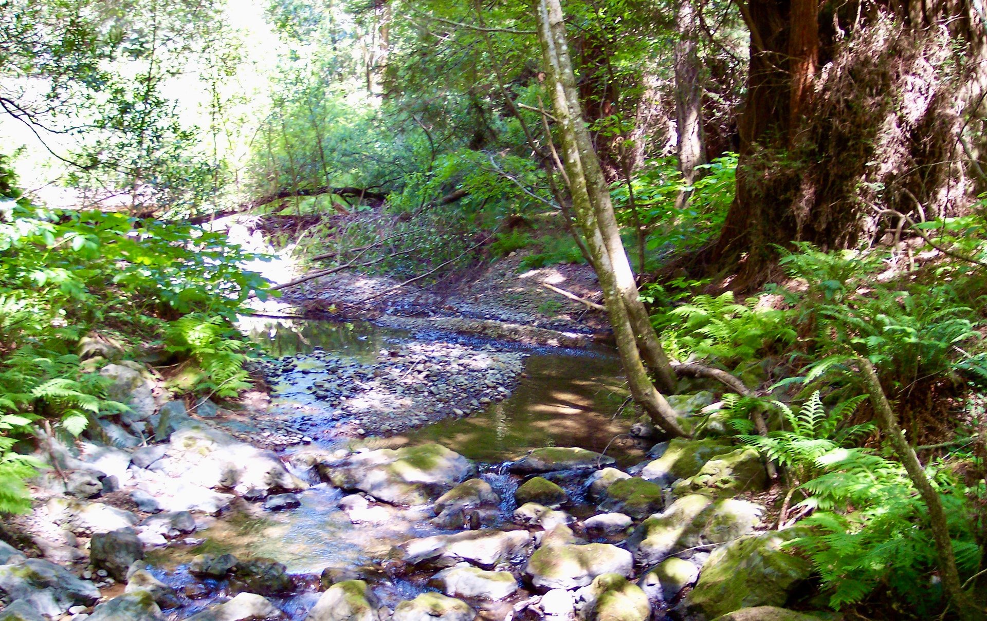 person holding magnifying glass during daytime