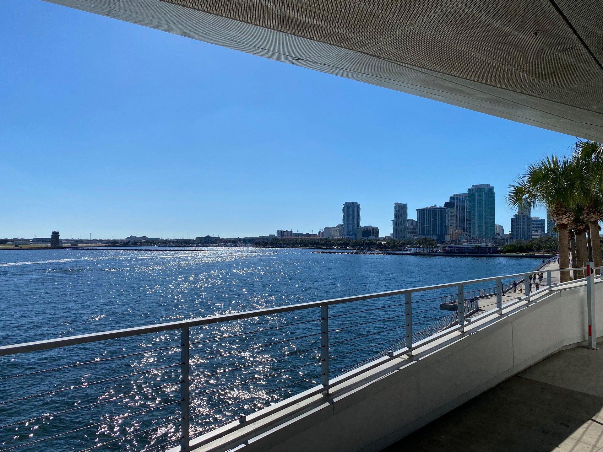 person holding magnifying glass during daytime
