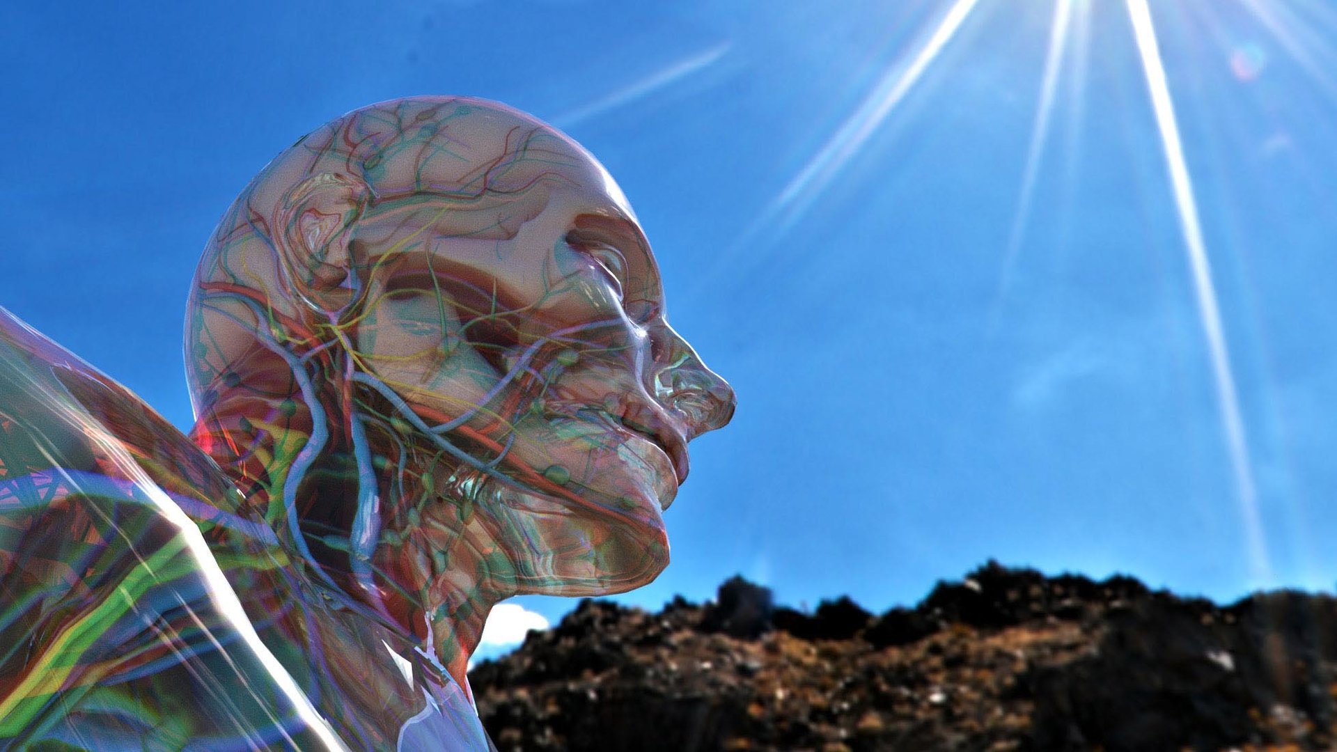 Corpo-humano-3d-anatomia-da-face-medpixel