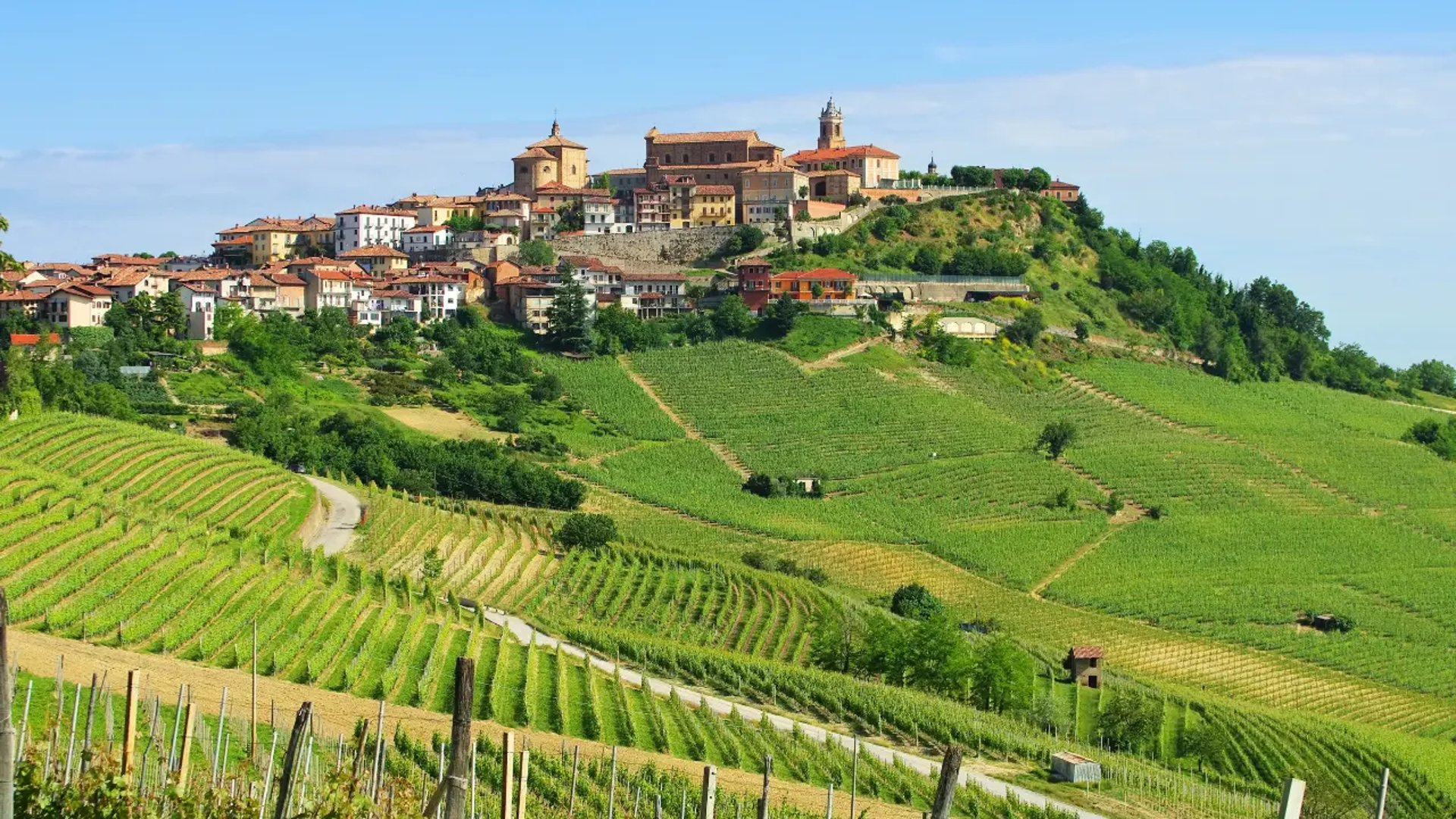 Panoramic view of vineyards from Belvedere terrace in La Morra Piedmont