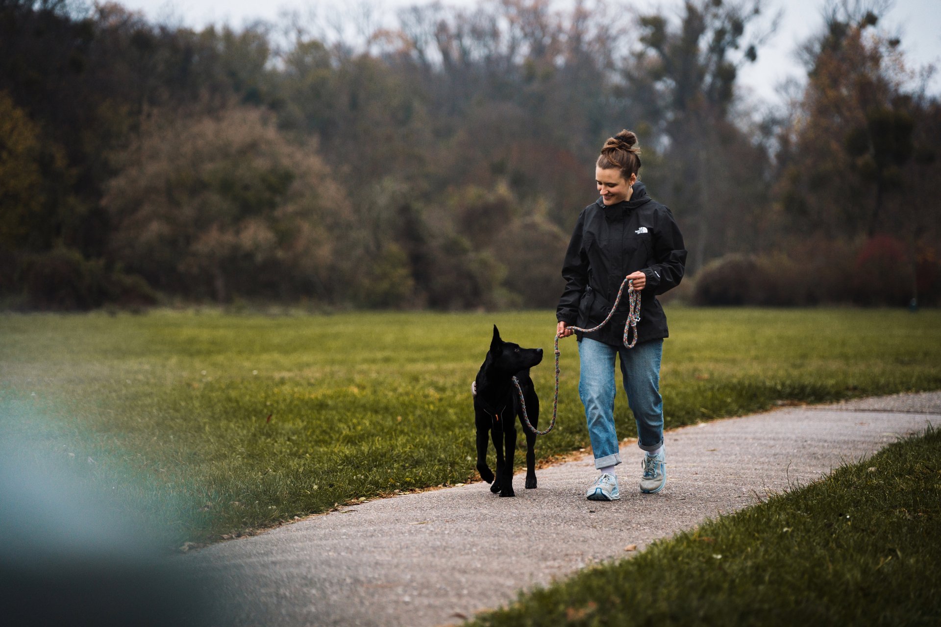 an abstract photo of a curved building with a blue sky in the background