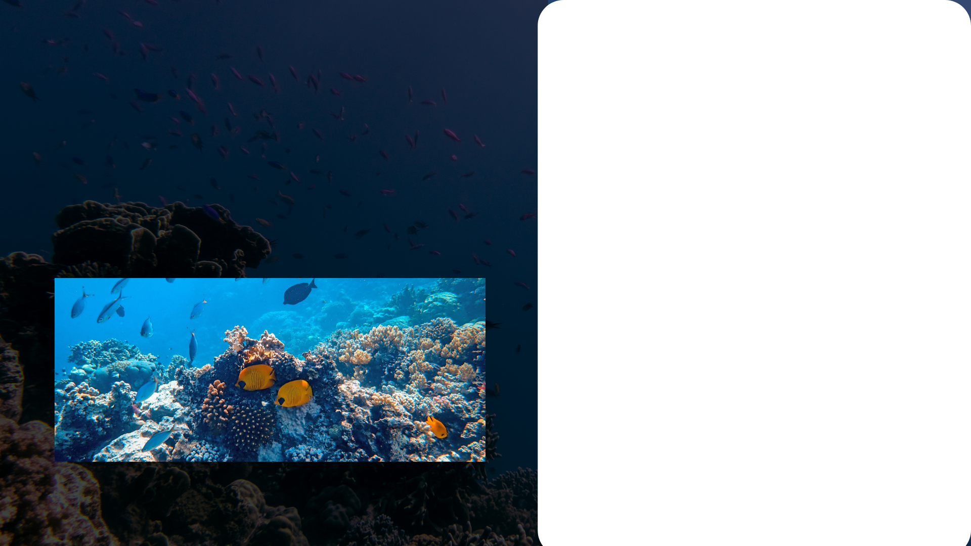 blue and white smoke illustration