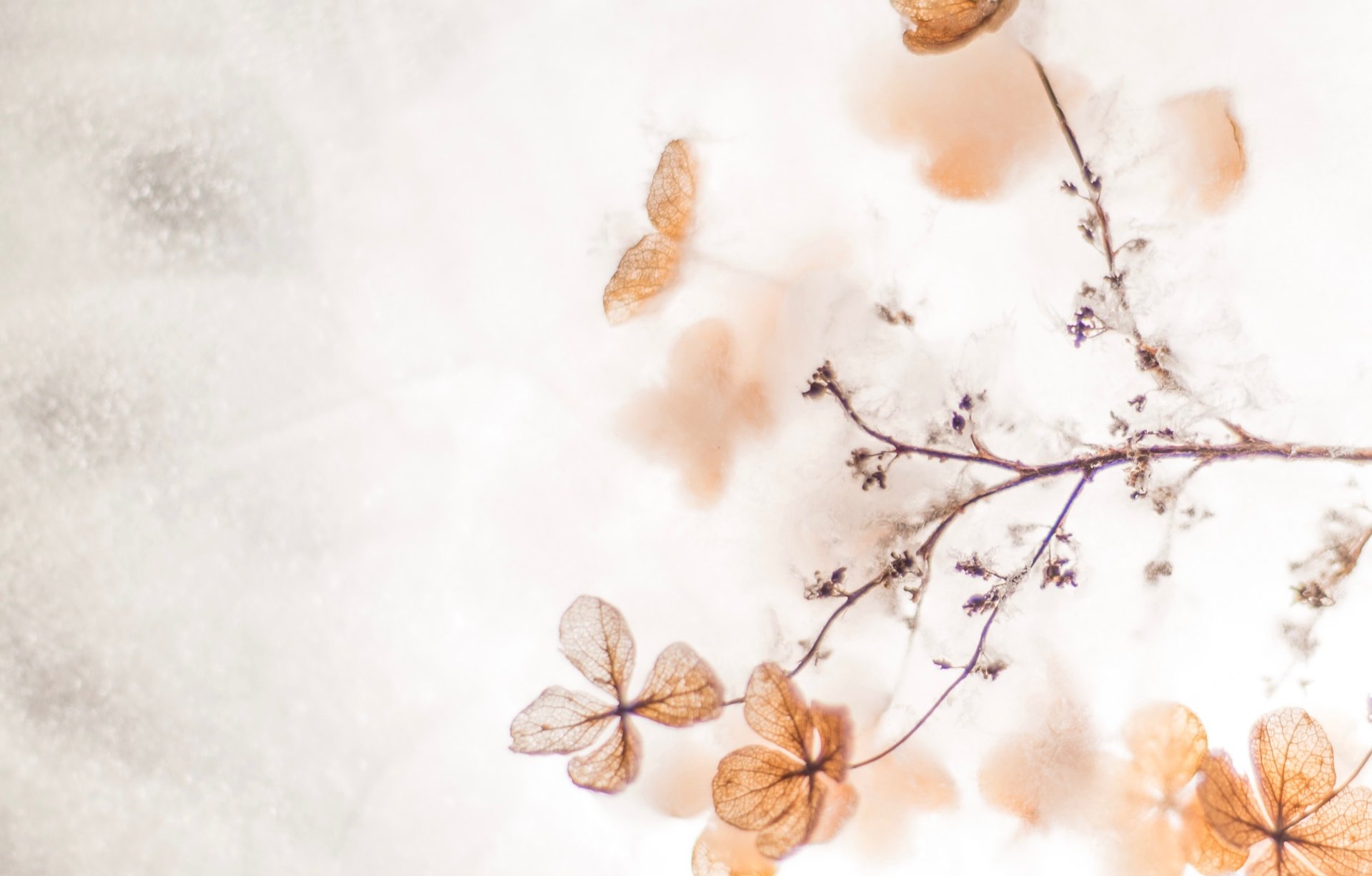 mountain range under blue sky