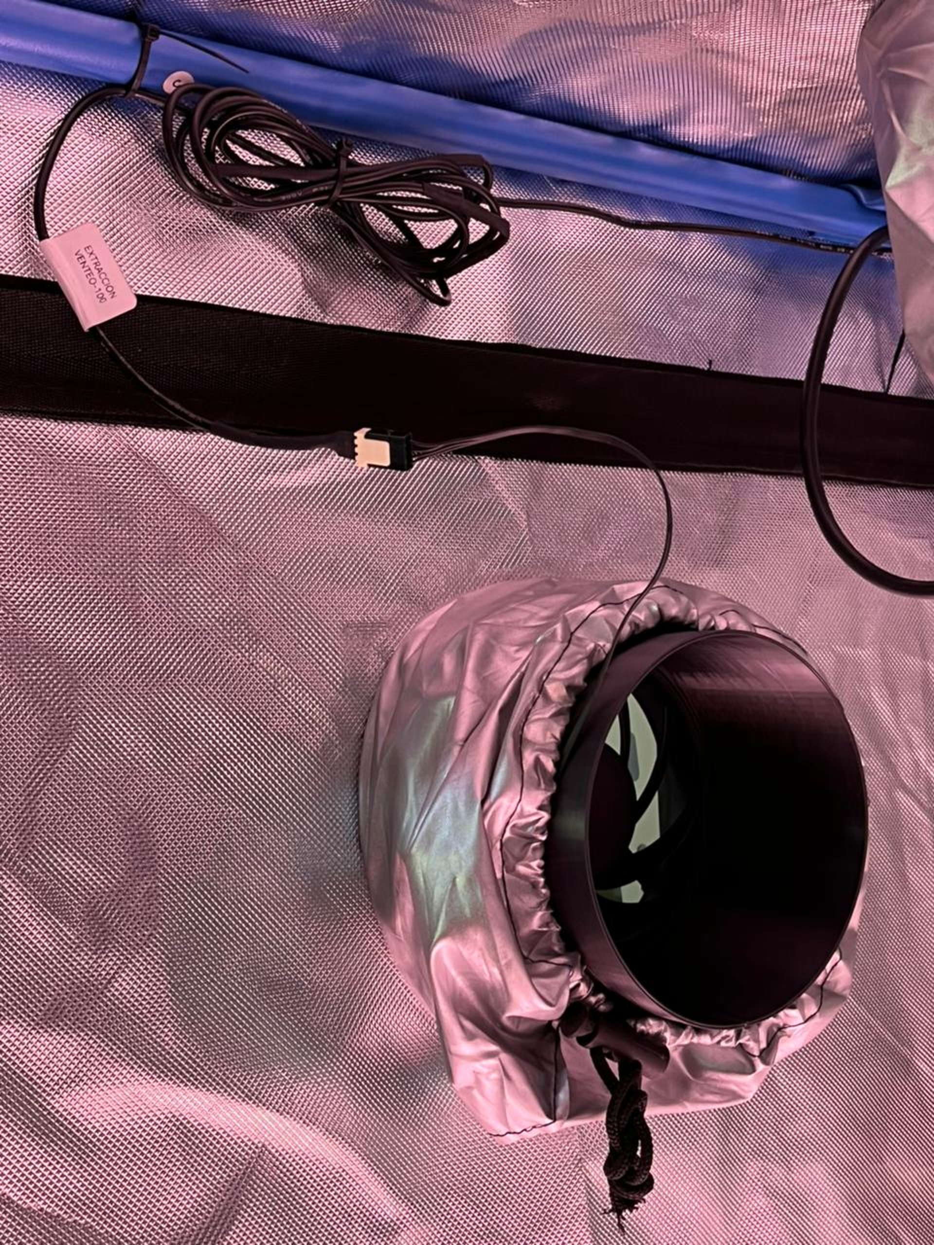 A small room with a white toilet and some plants