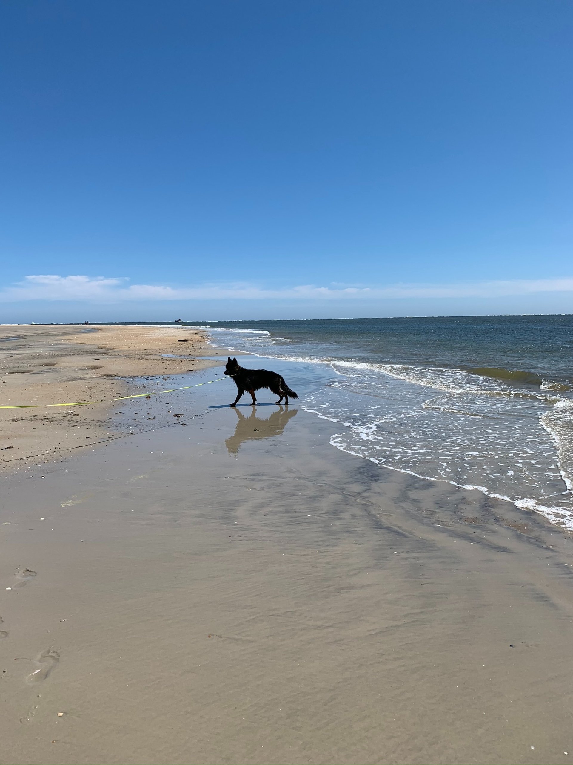 woman wearing yellow long-sleeved dress under white clouds and blue sky during daytime