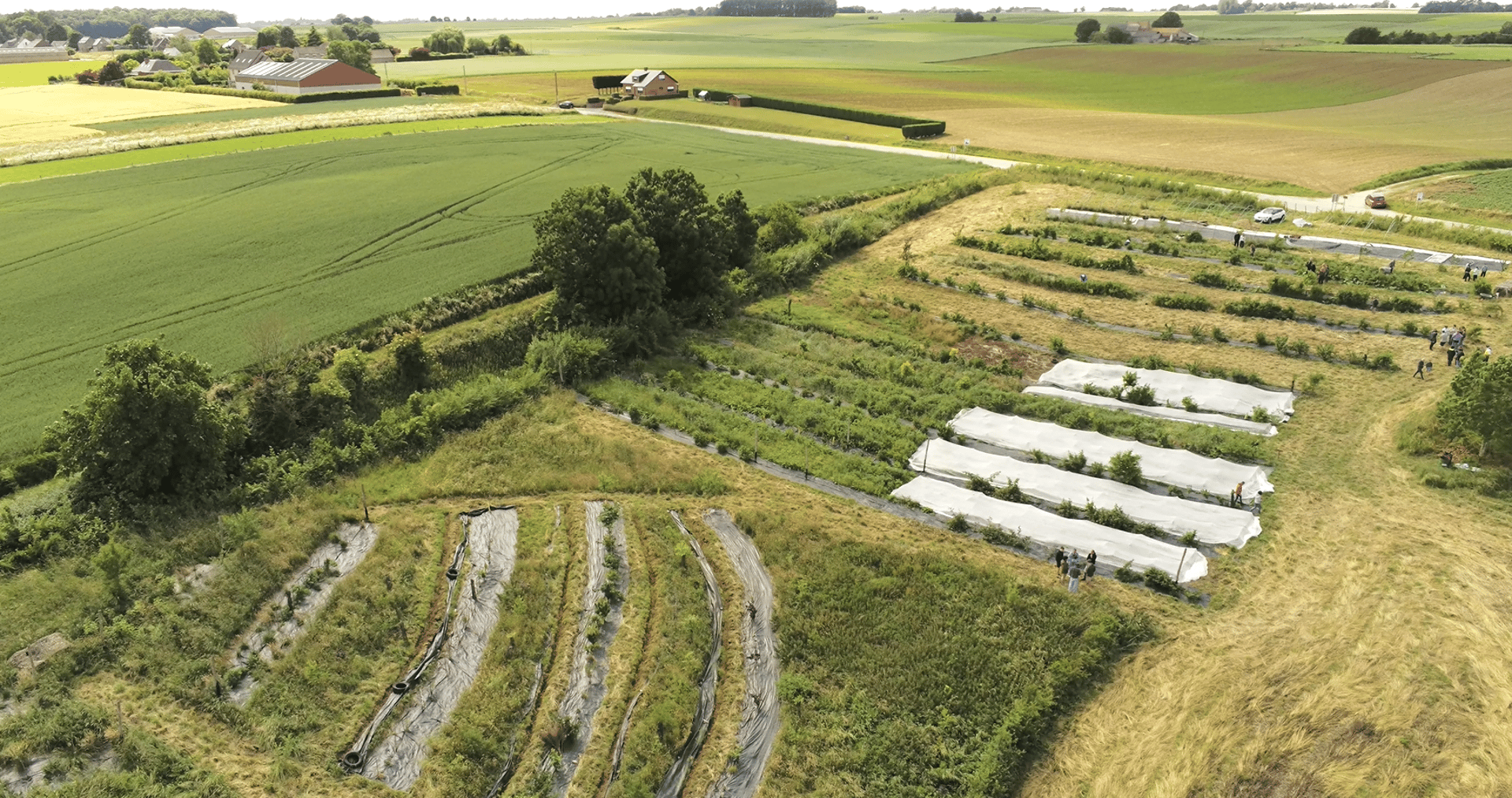 black and white bed linen