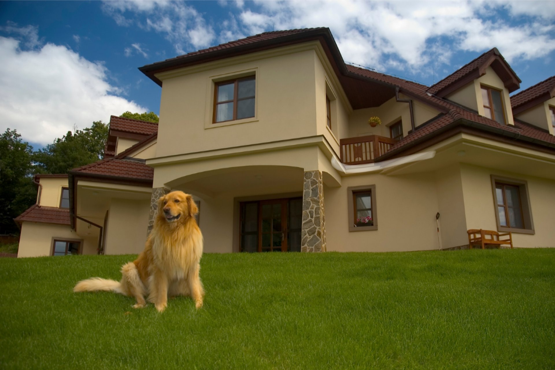 black blue and yellow textile