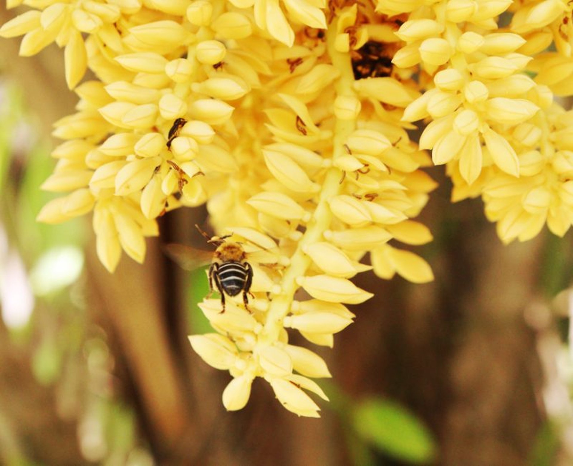 black blue and yellow textile