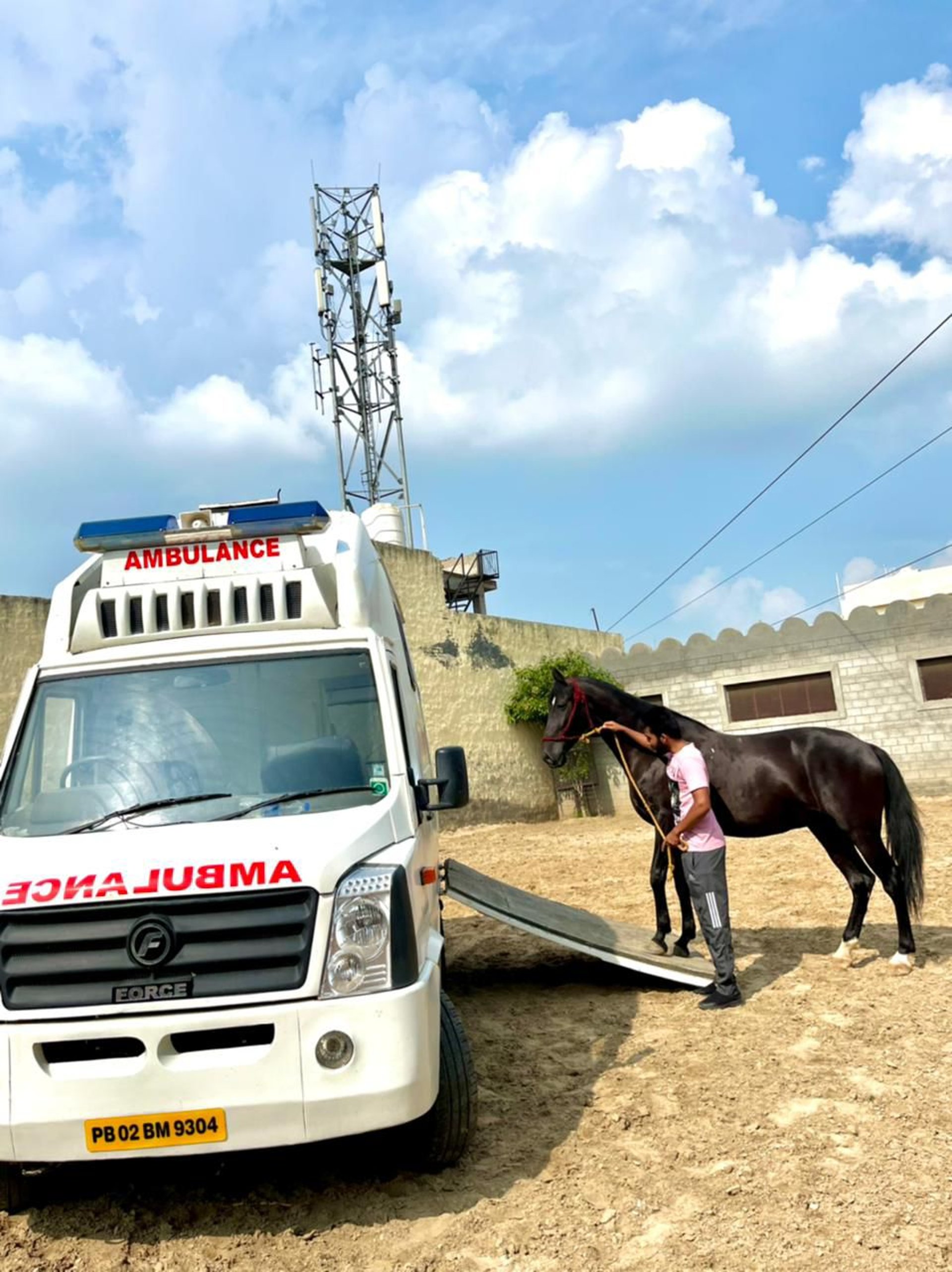 black blue and yellow textile