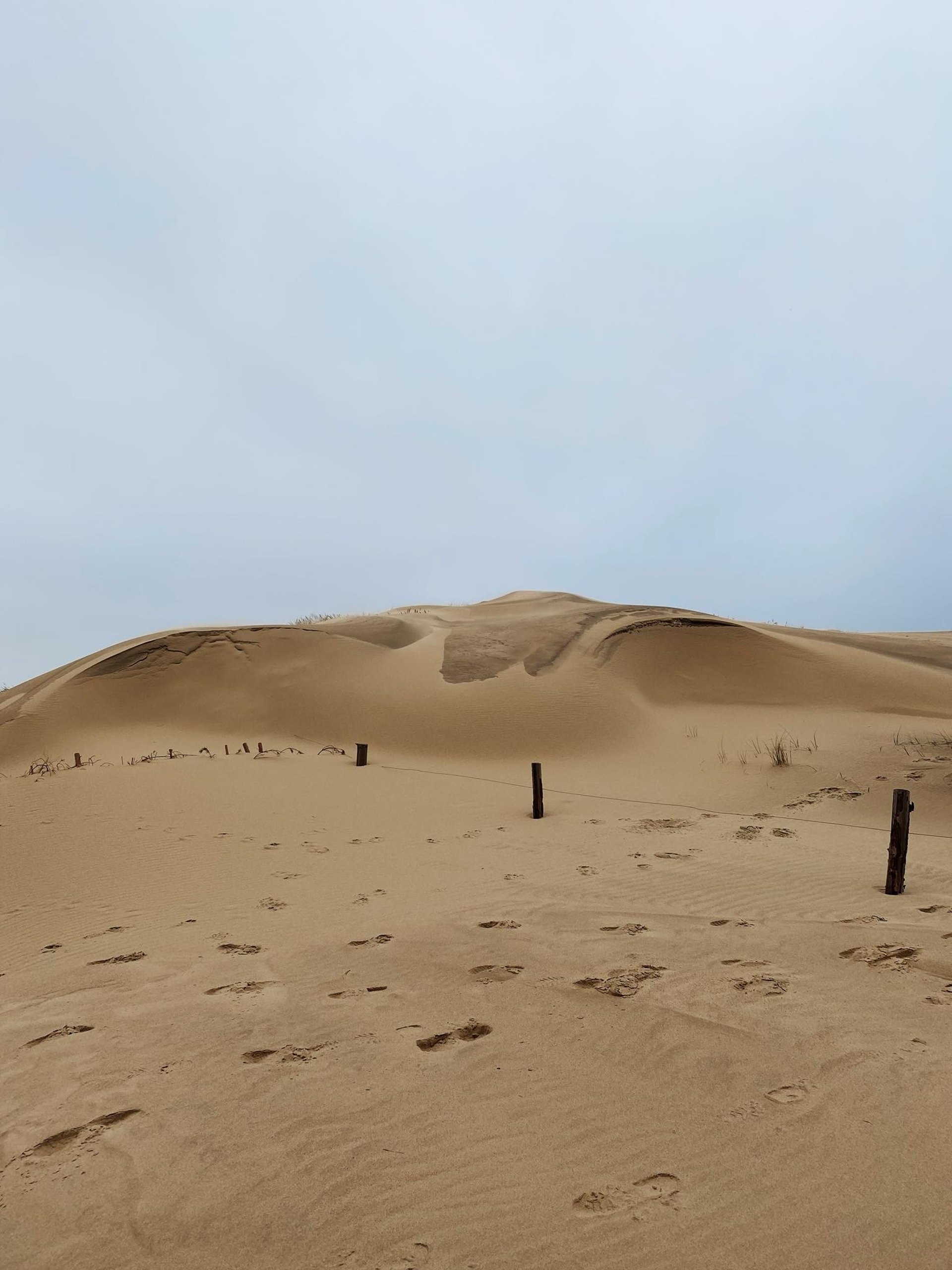 black and brown leather padded tub sofa