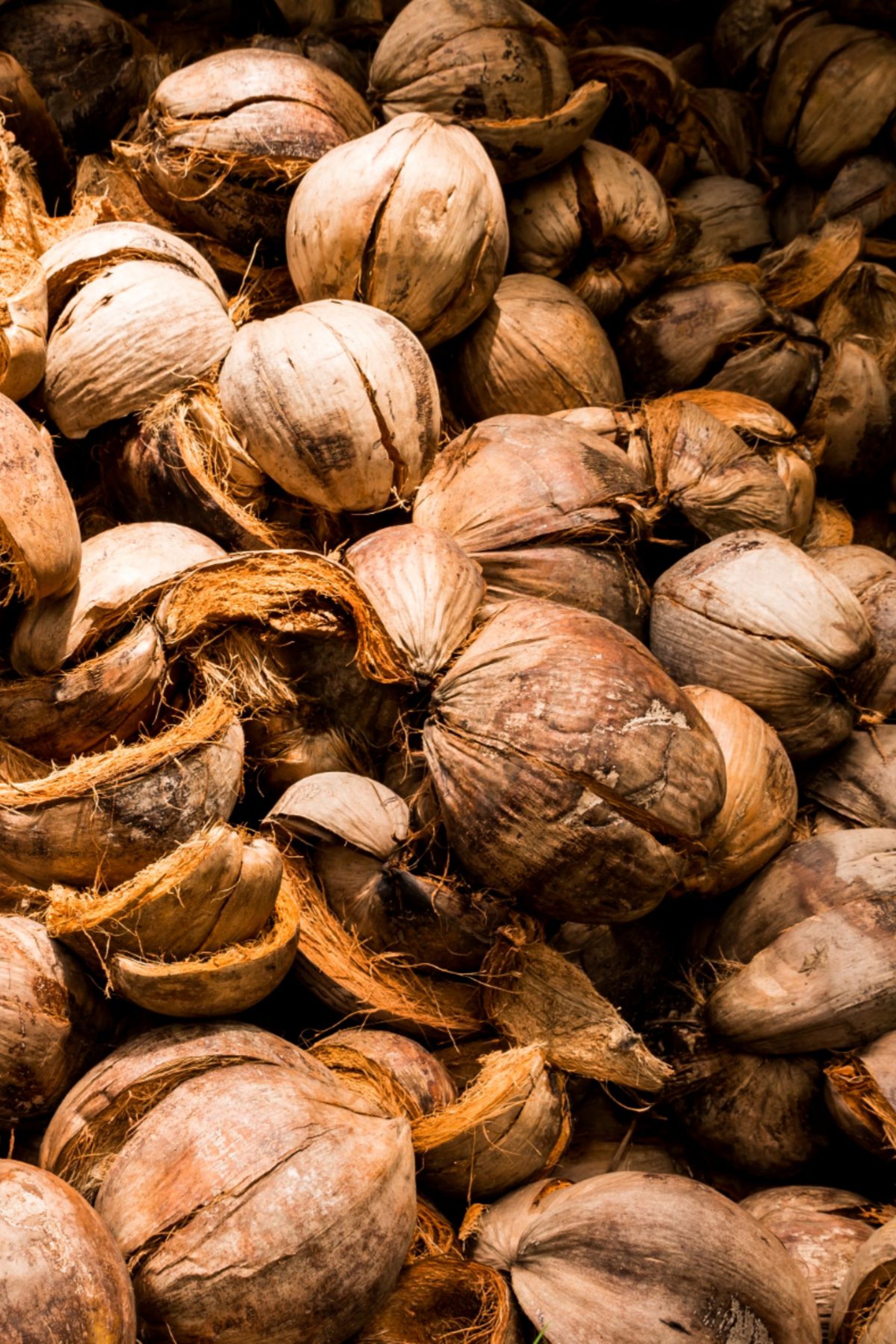 A pile of cut up coconuts sitting on top of each other