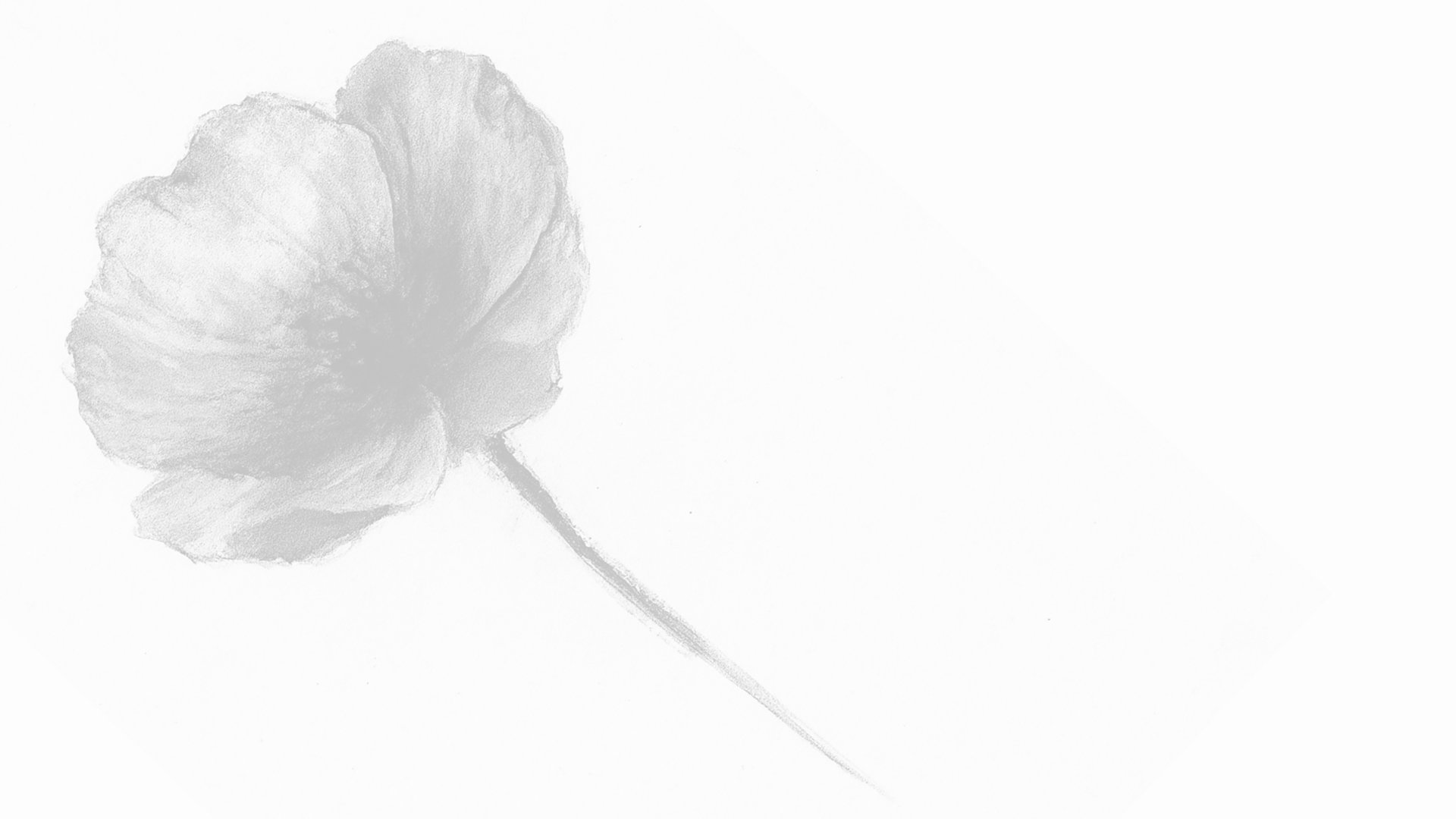 Black and white stylised image of a poppy flower