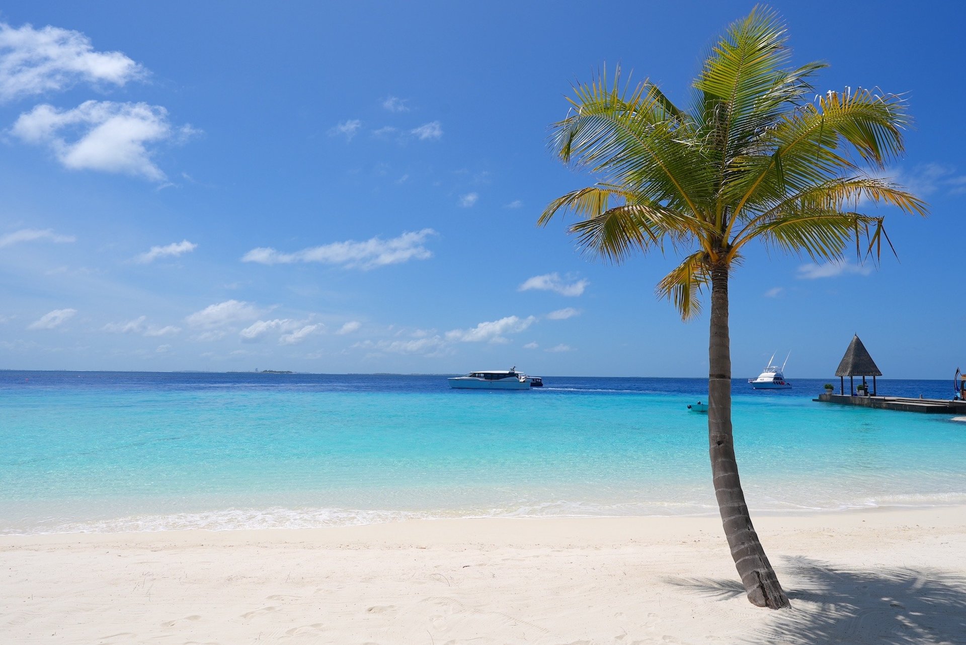 ozen reserve bolifushi beach