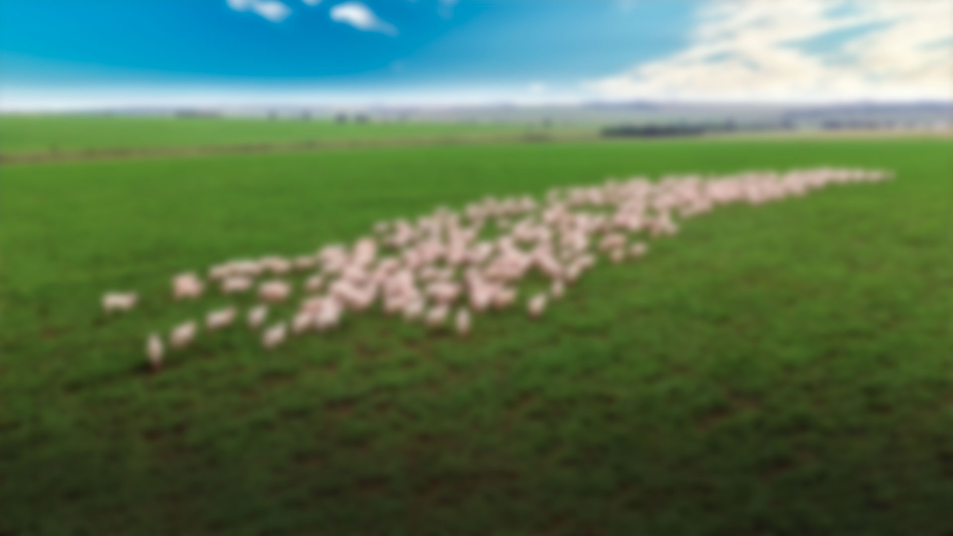 mountain range under blue sky