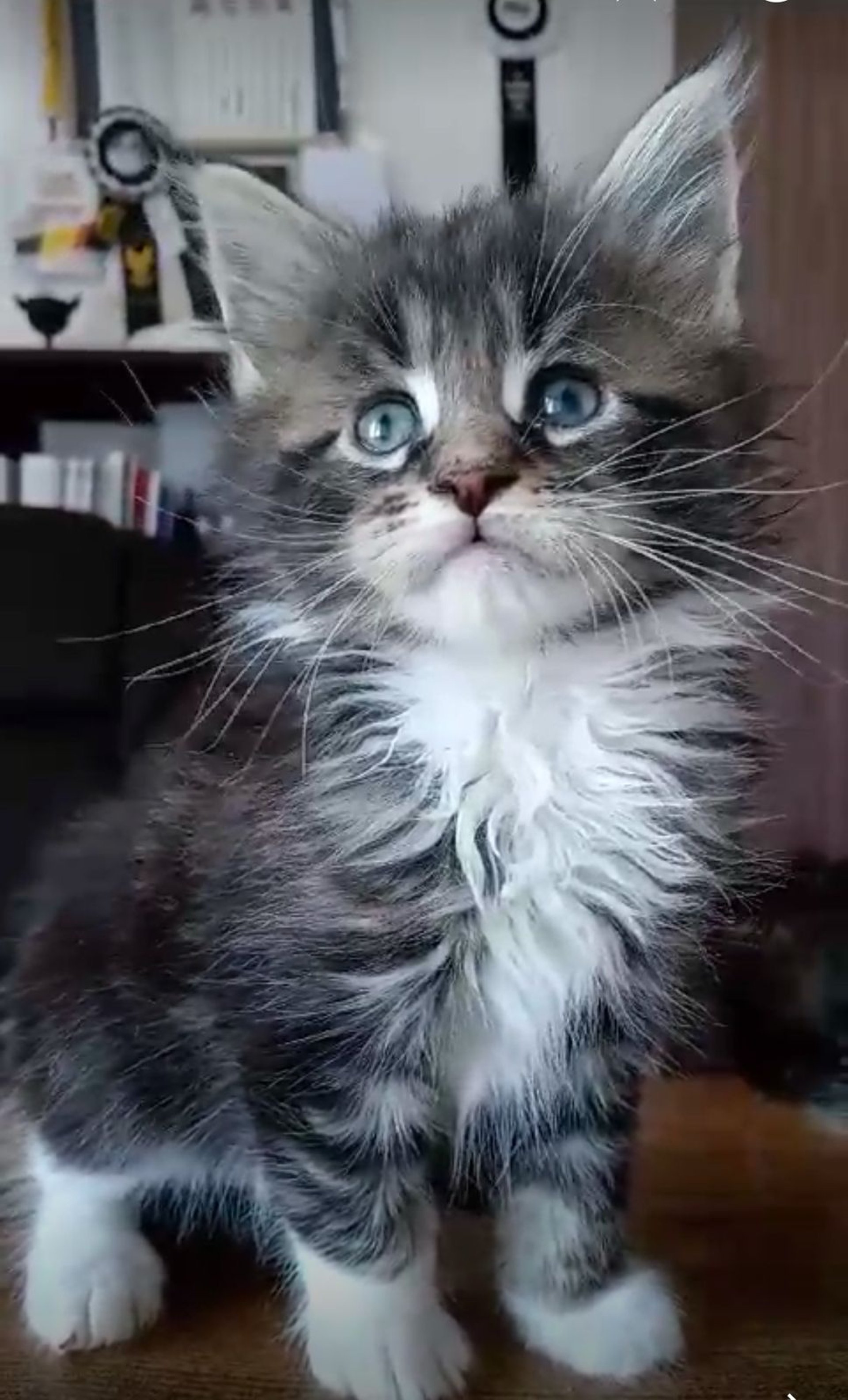 gray computer monitor