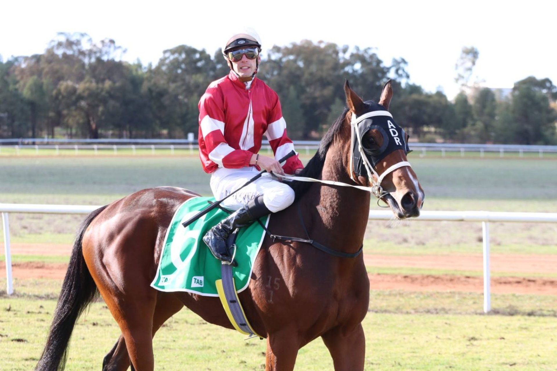 an abstract photo of a curved building with a blue sky in the background