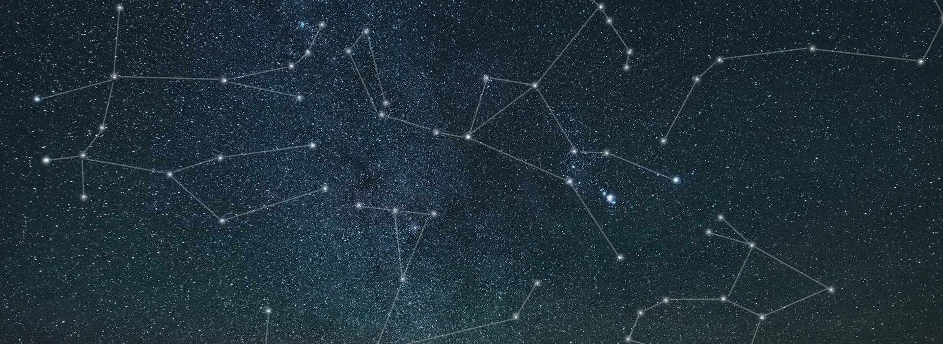 white printer paper with green leaves