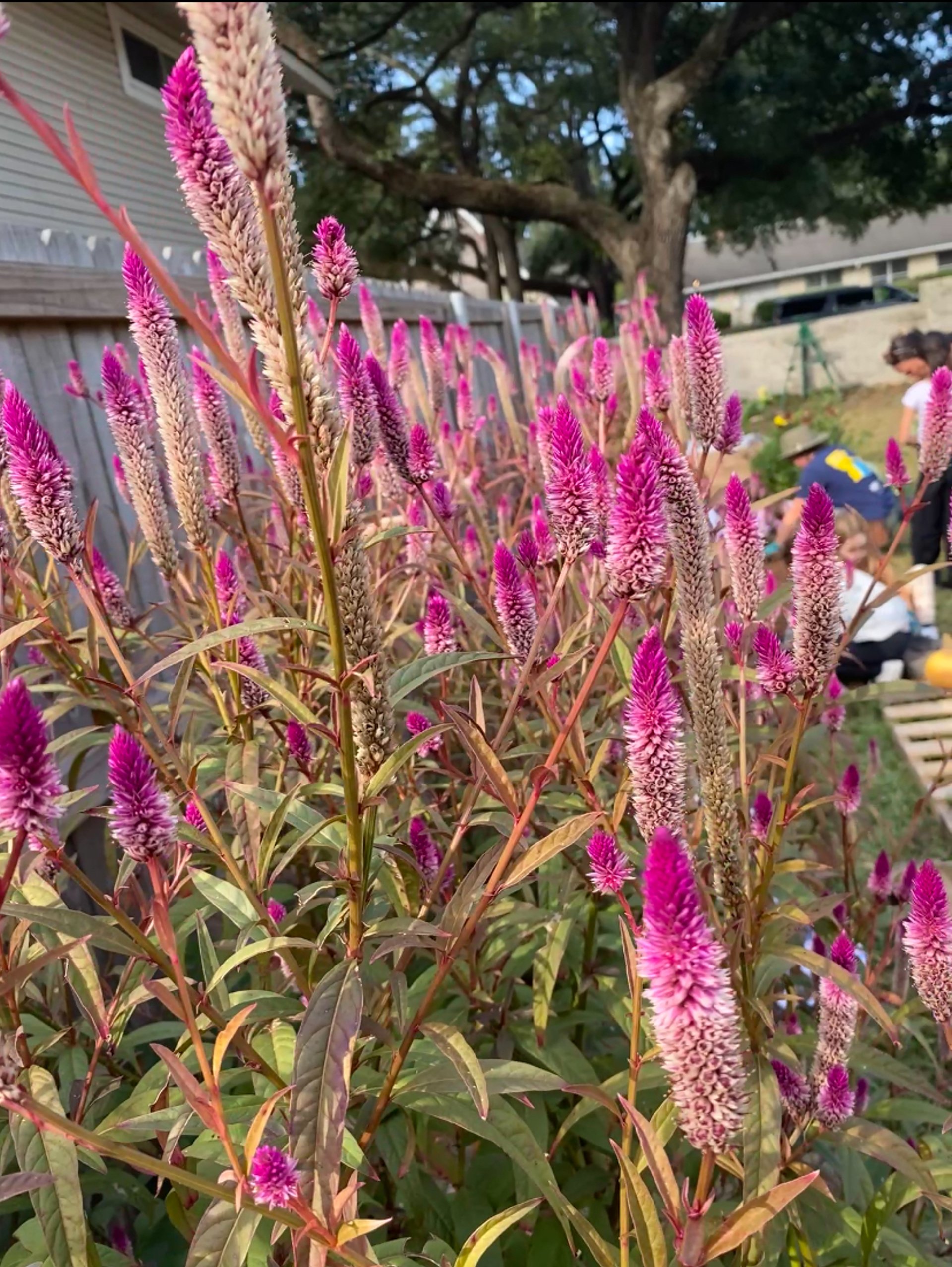 woman wearing yellow long-sleeved dress under white clouds and blue sky during daytime