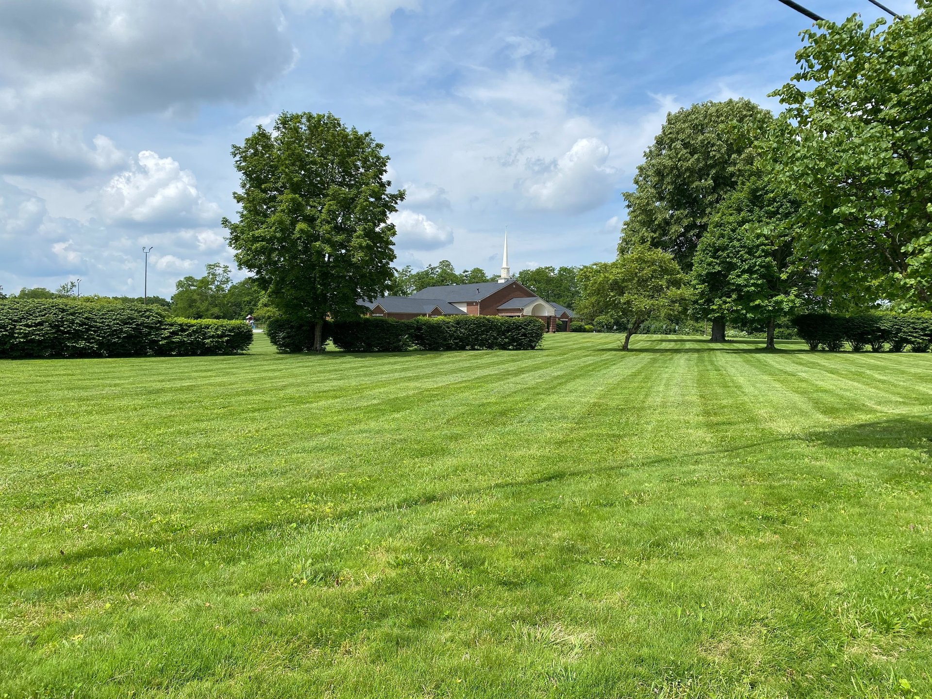 green grass field during daytime
