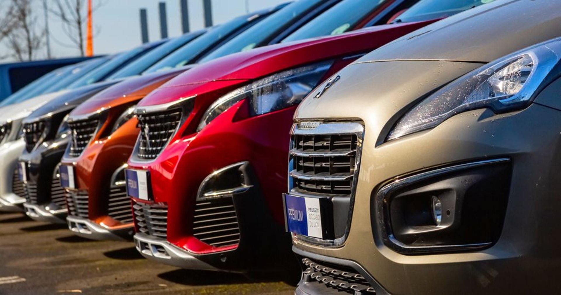 woman wearing yellow long-sleeved dress under white clouds and blue sky during daytime