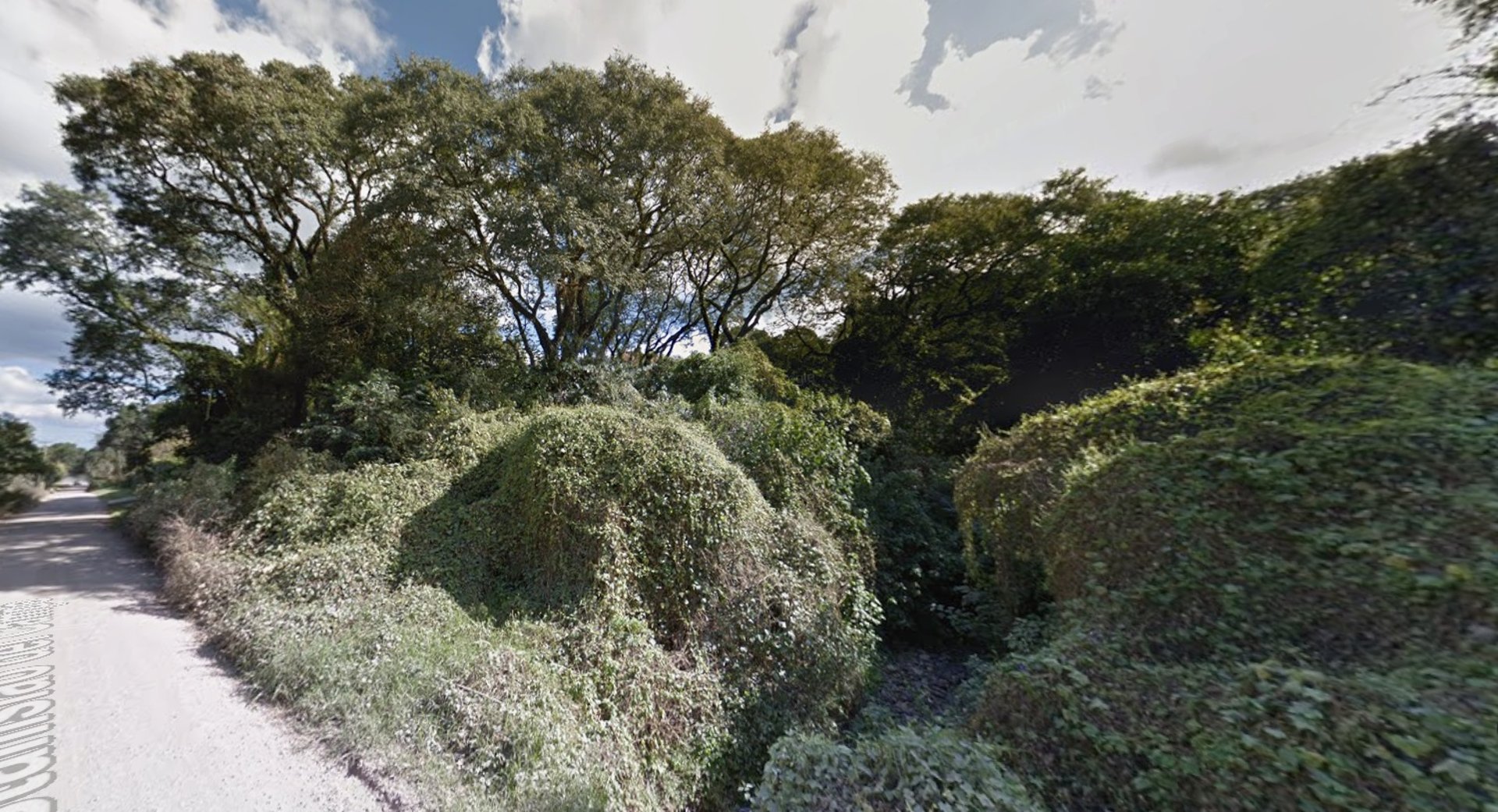 gray computer monitor