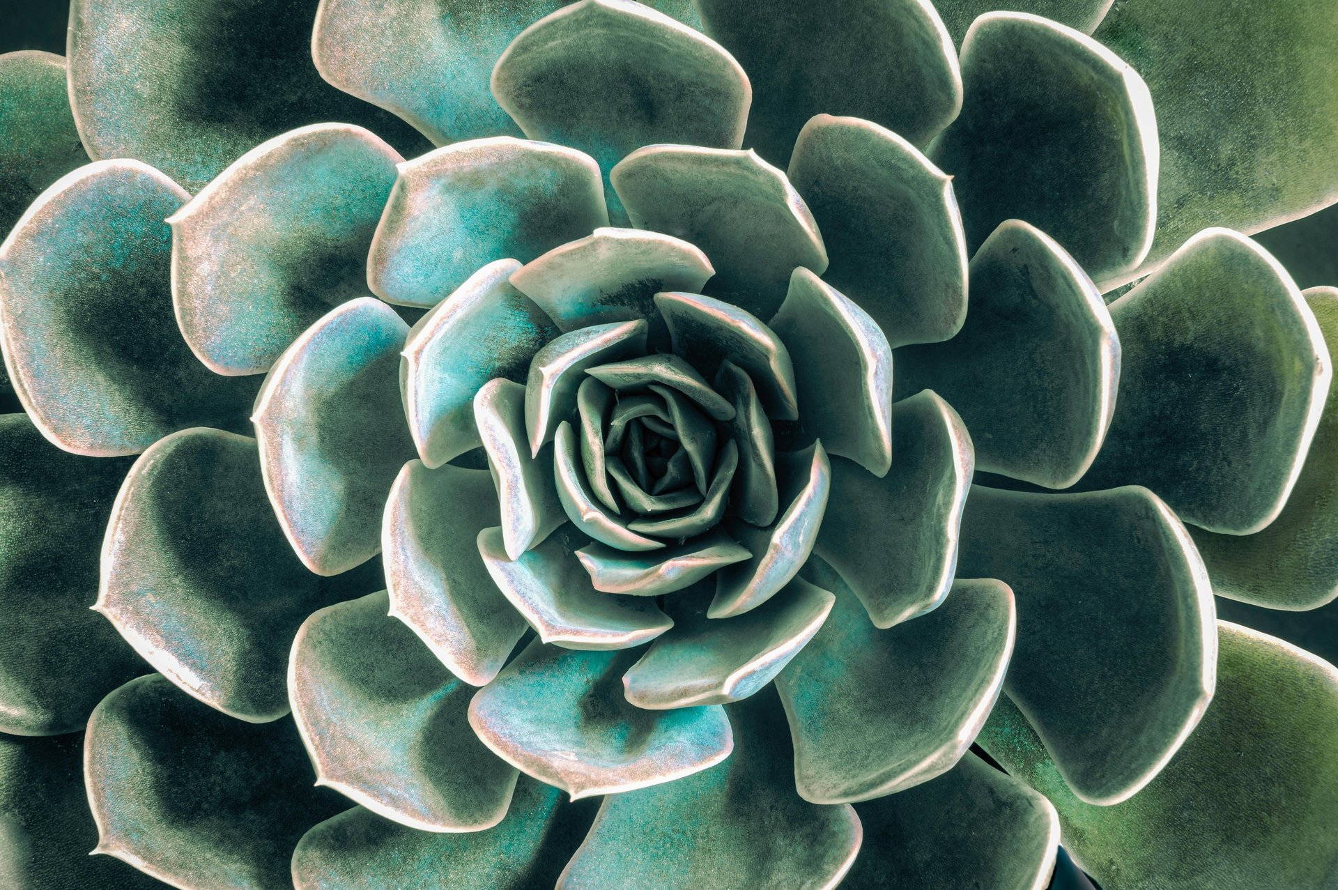 an abstract photo of a curved building with a blue sky in the background