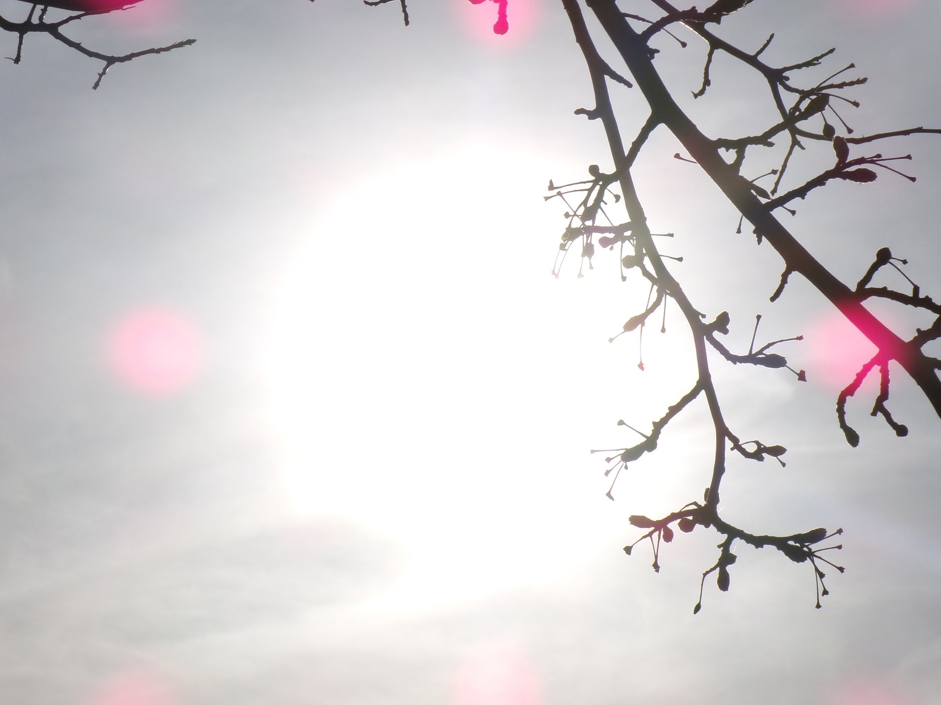 The sun is setting over the clouds in the sky