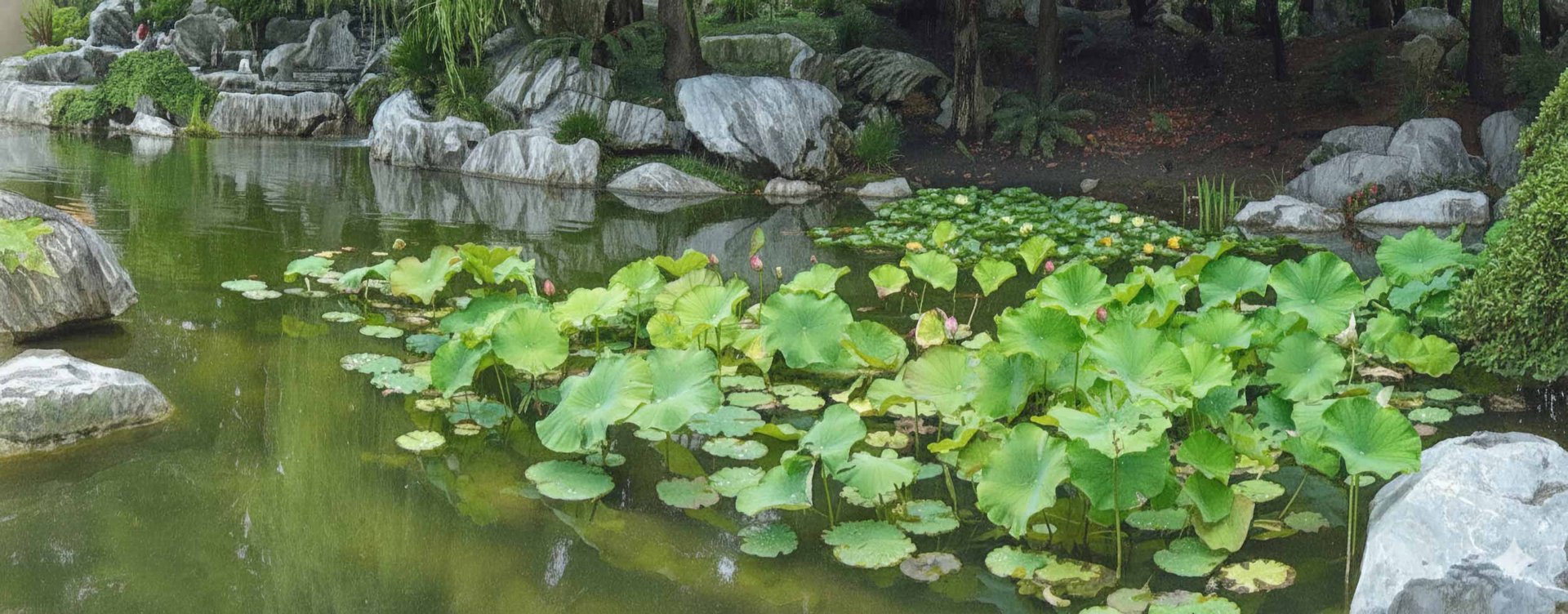 orange petaled flowers