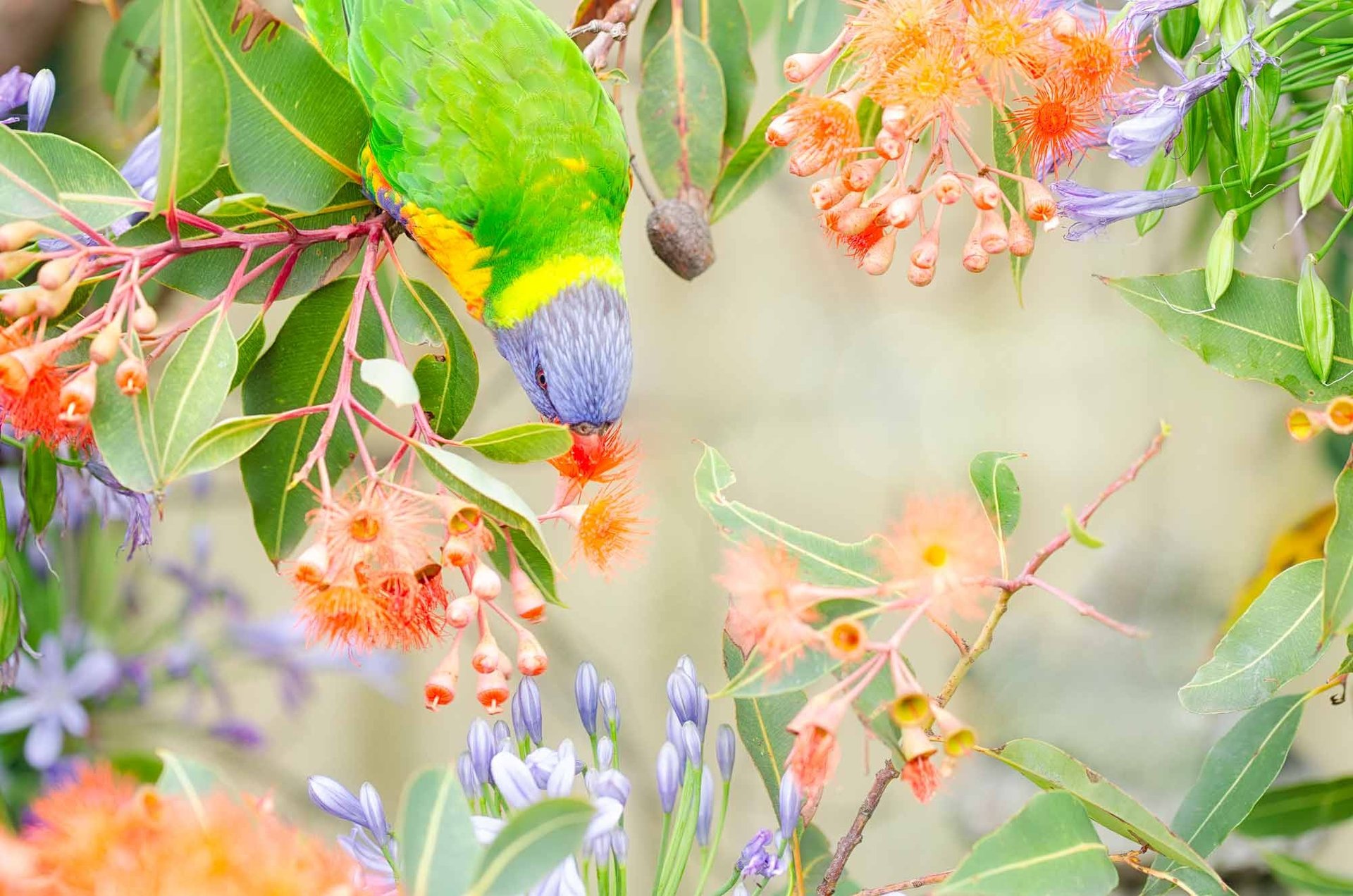 black blue and yellow textile