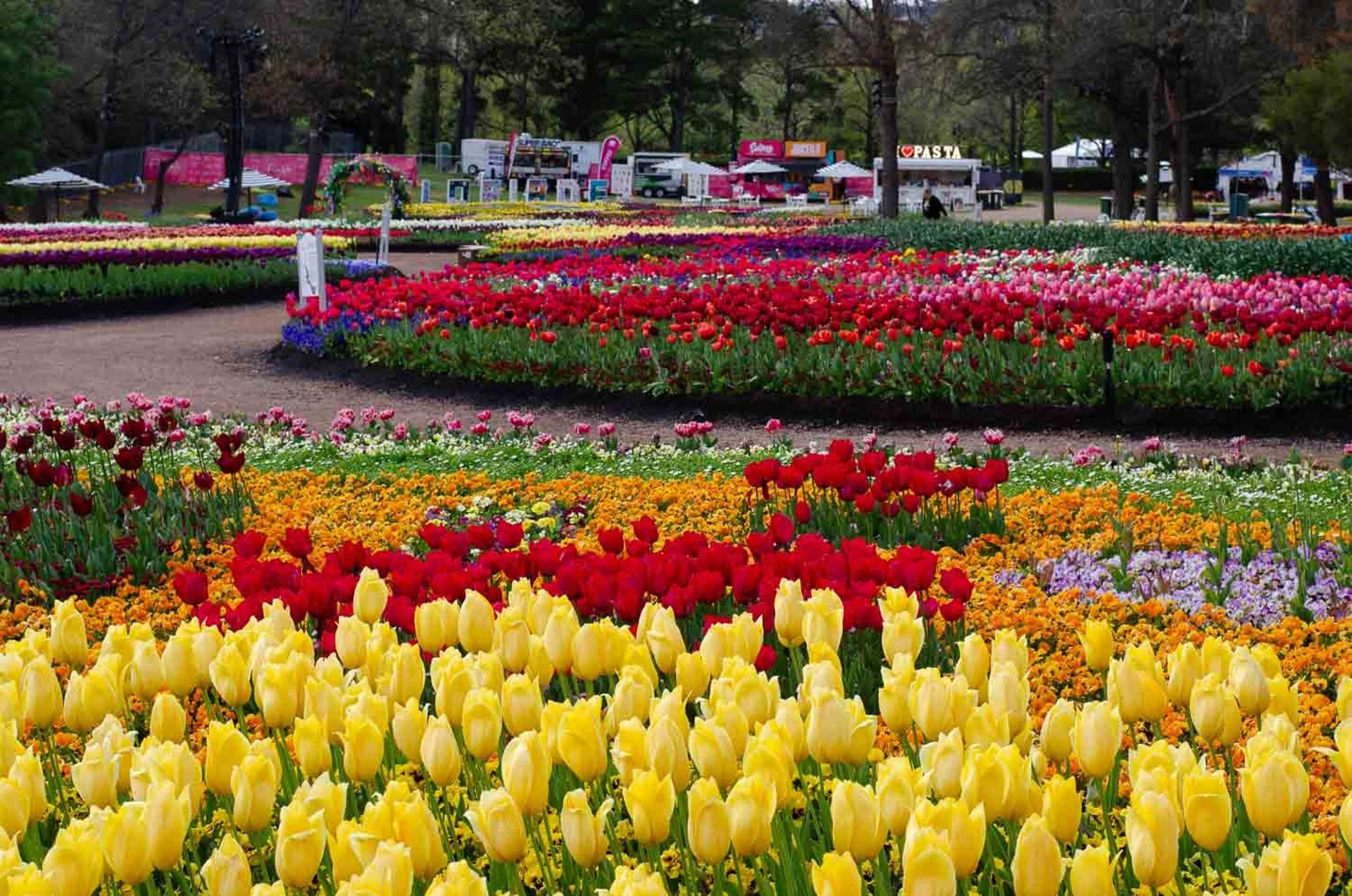black blue and yellow textile