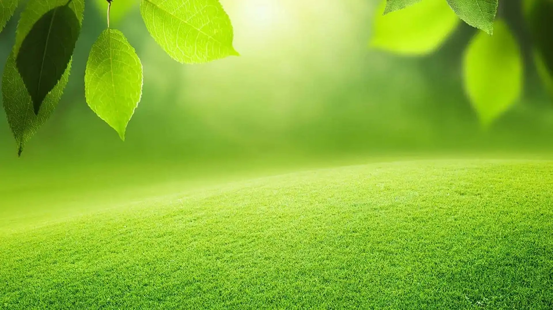 Youth in a sustainable city with greenery and renewable energy, symbolizing the future they can build.