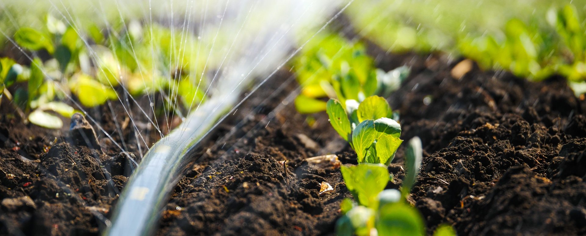 black and brown leather padded tub sofa