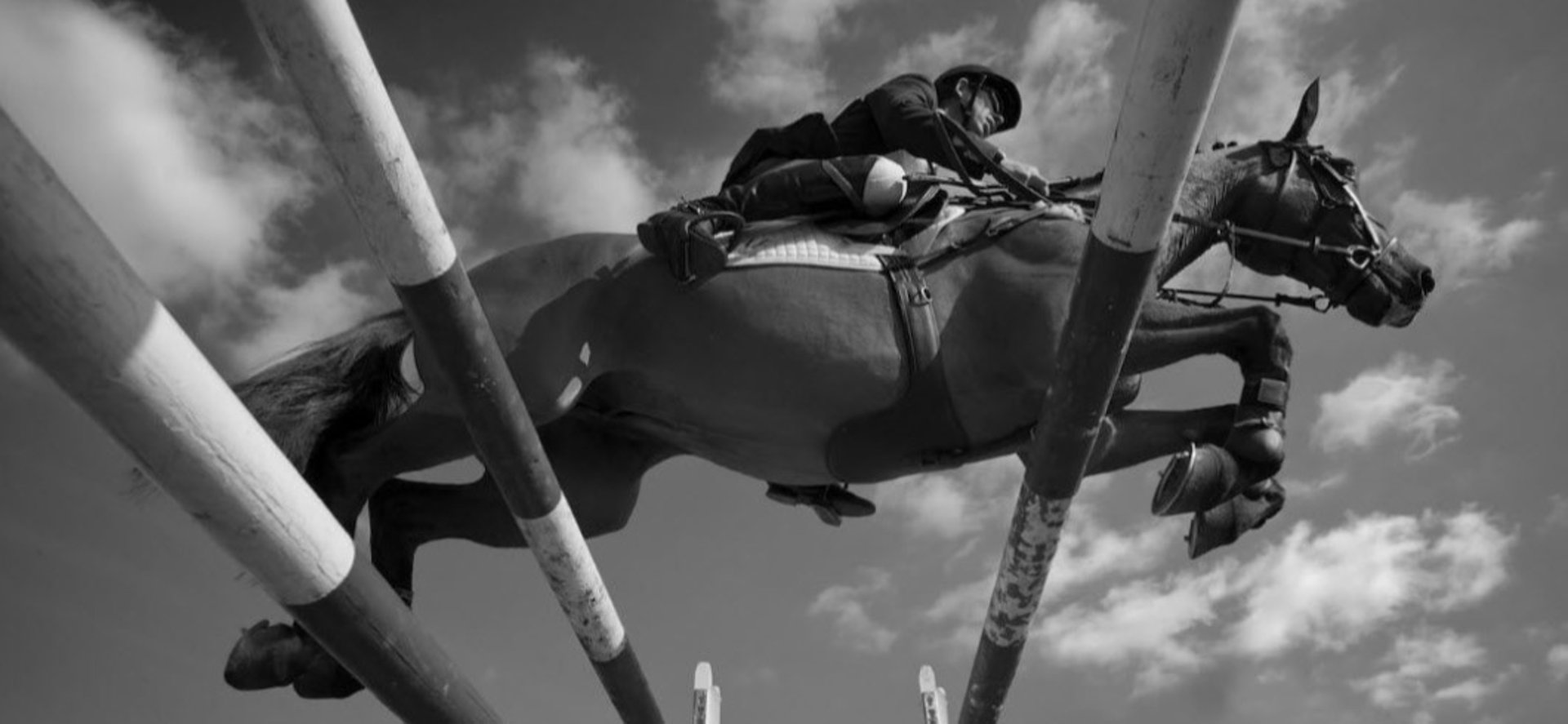 black and white bed linen