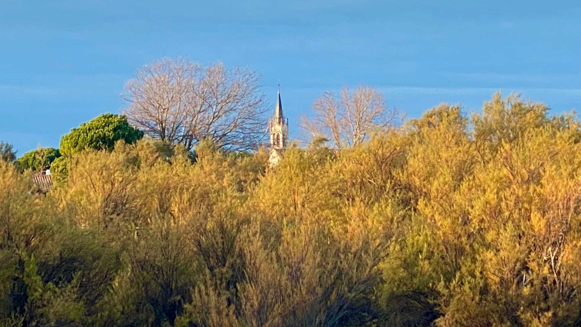 an abstract photo of a curved building with a blue sky in the background