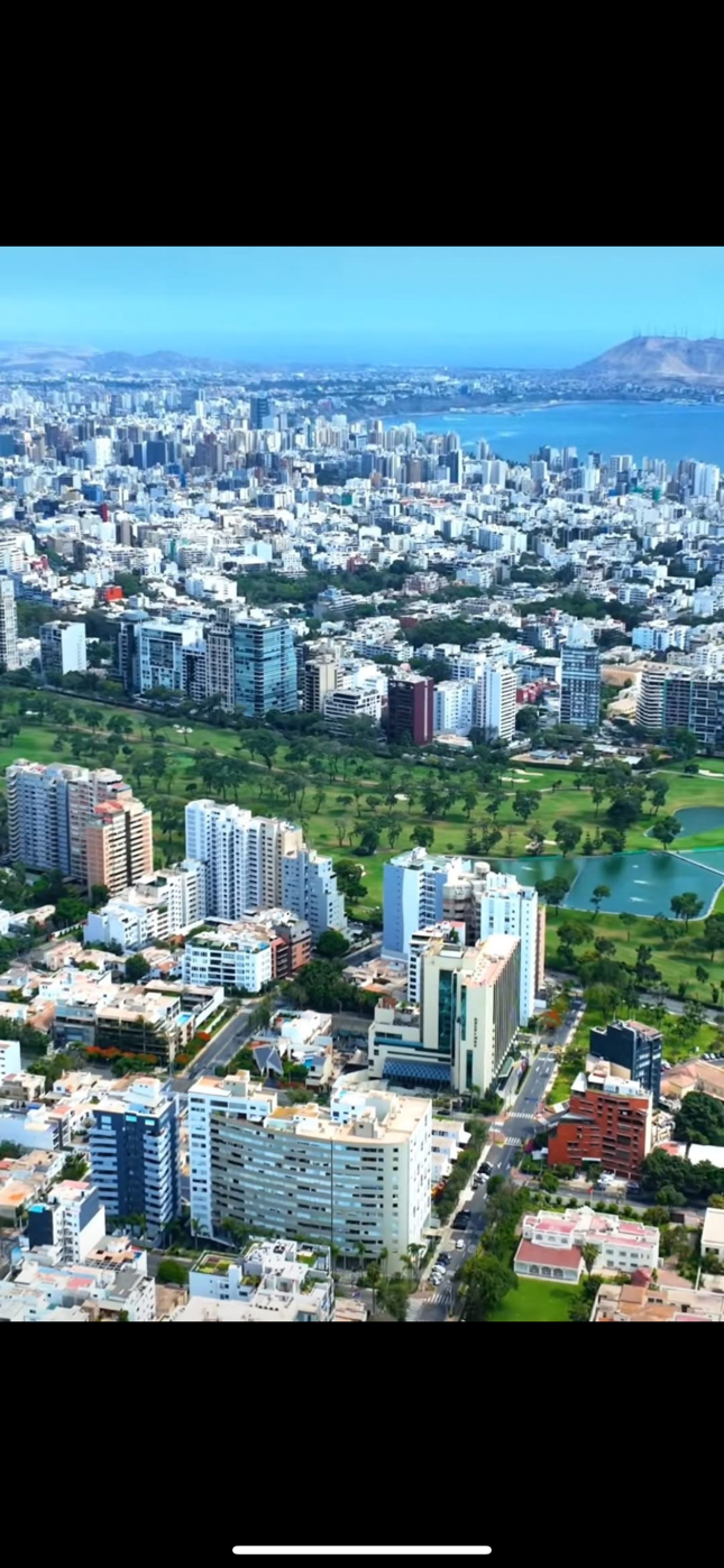 black and brown leather padded tub sofa