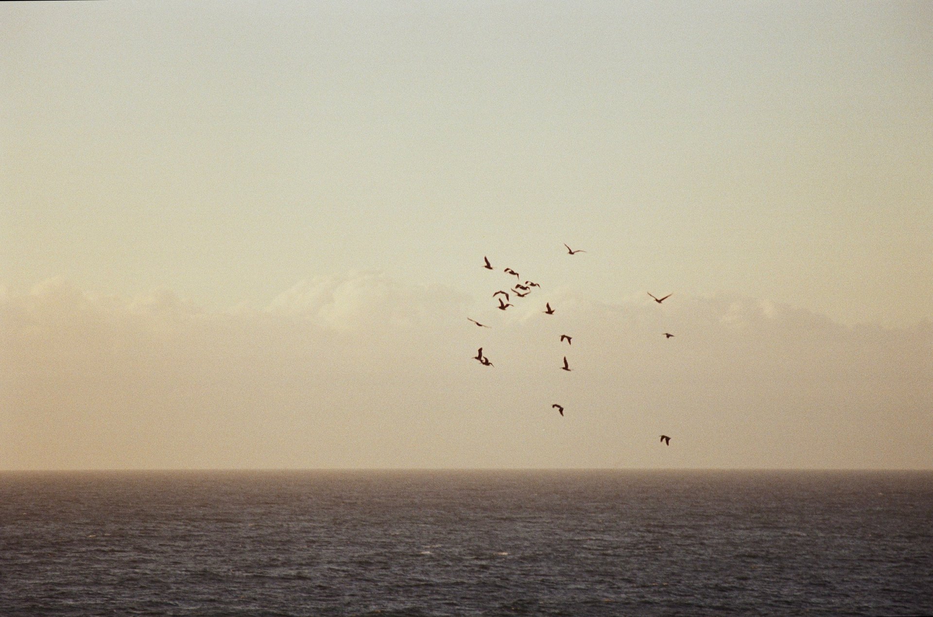 gray computer monitor