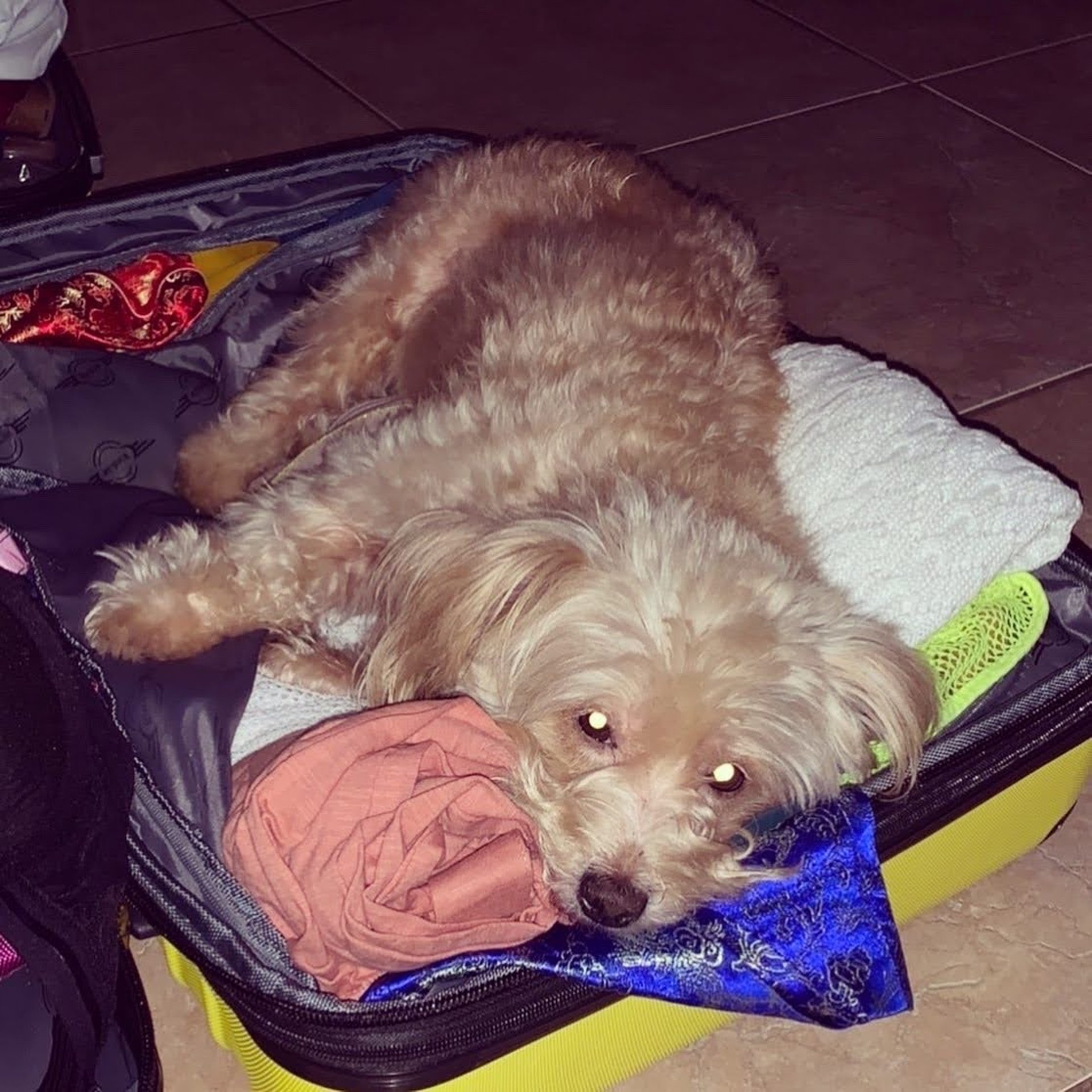 woman wearing yellow long-sleeved dress under white clouds and blue sky during daytime
