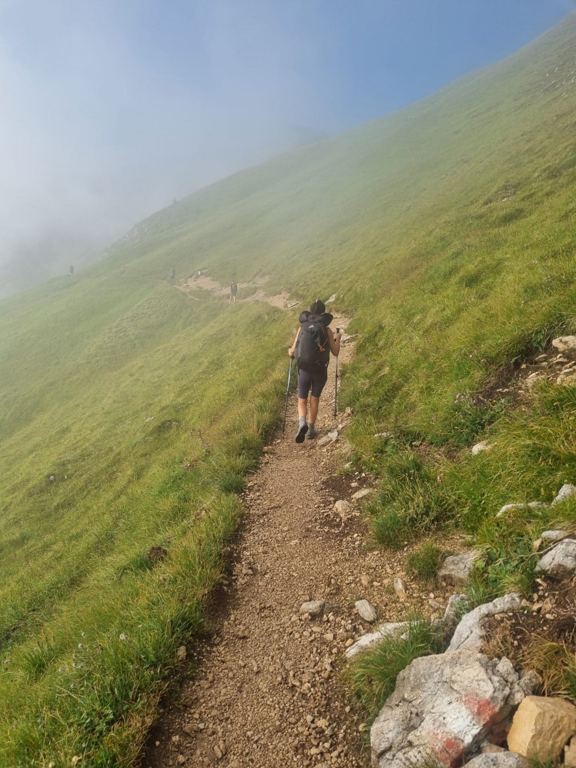 black blue and yellow textile