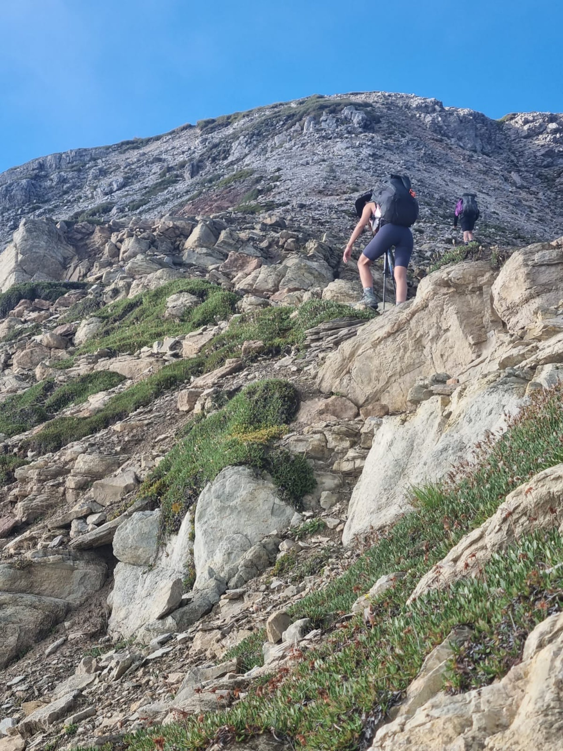 black blue and yellow textile
