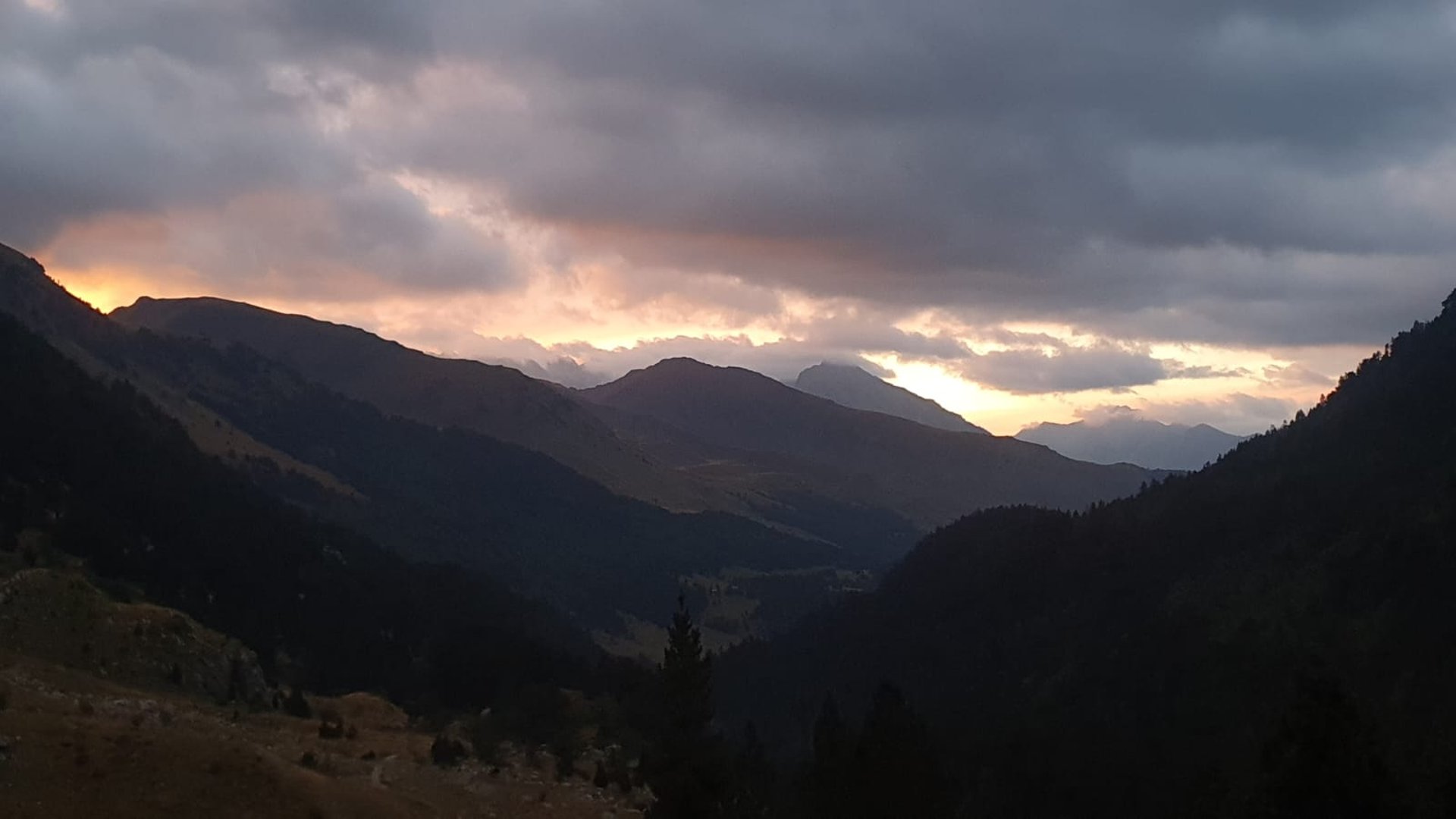 black blue and yellow textile